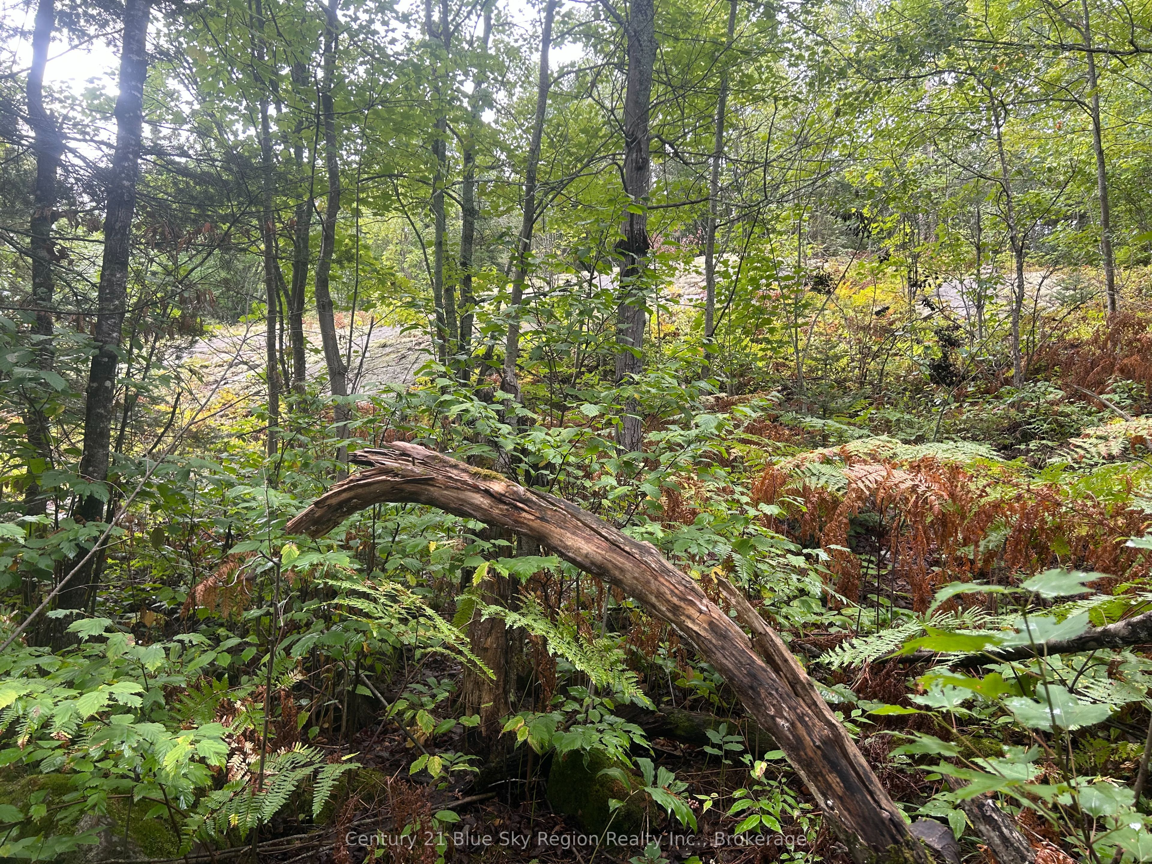 Part Lot 4 Highway 64 Property Photo 14