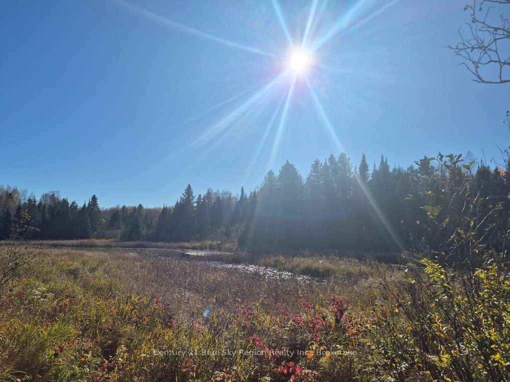Part Lot 4 Highway 64 Property Photo 23