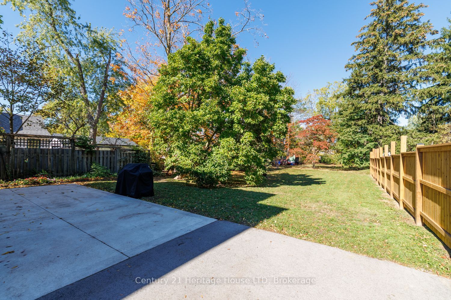 222 Phipps Street Property Photo 5