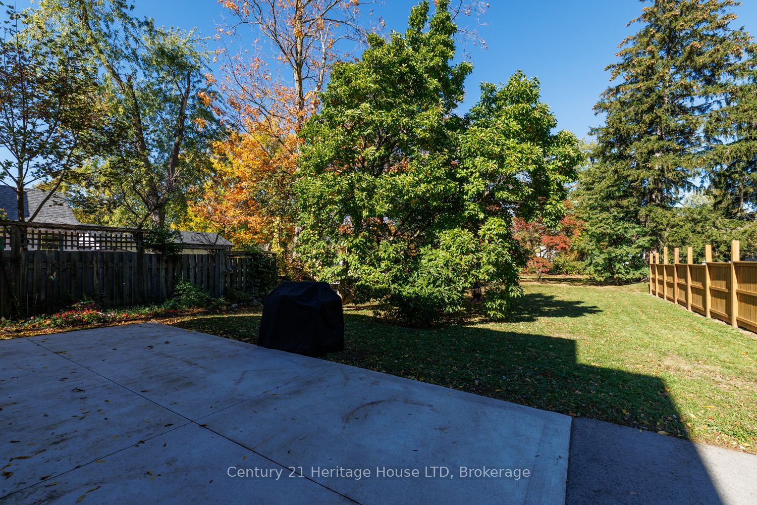222 Phipps Street Property Photo 37