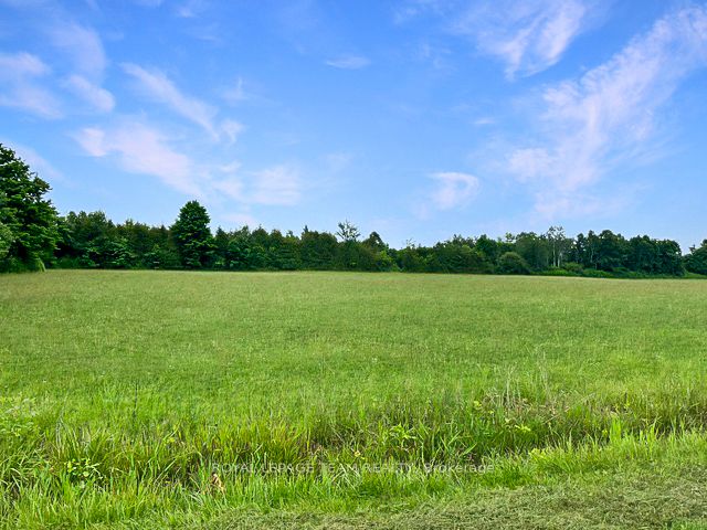 7191 Malakoff Road Property Photo 7