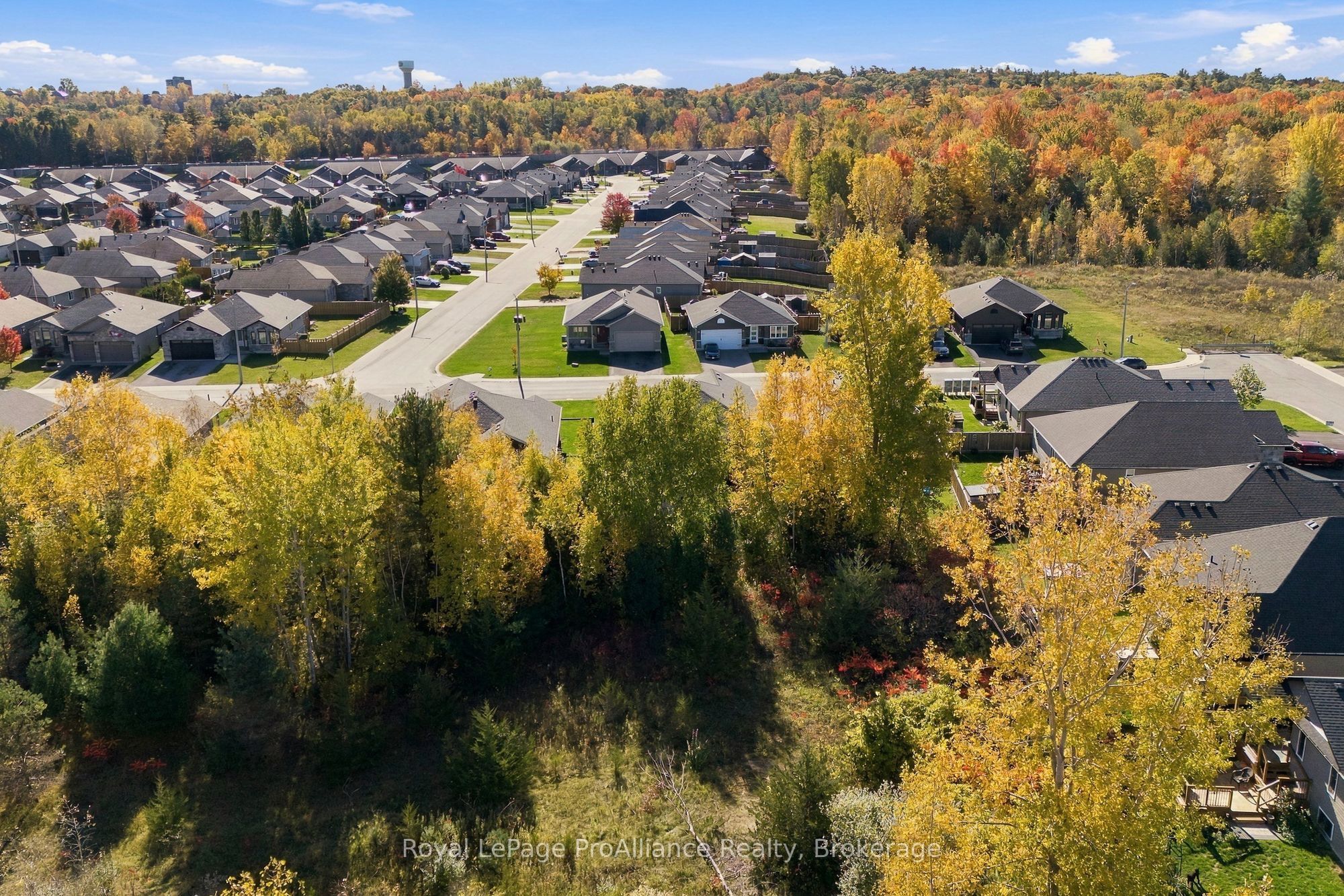 46 Birchmount Street Property Photo 5