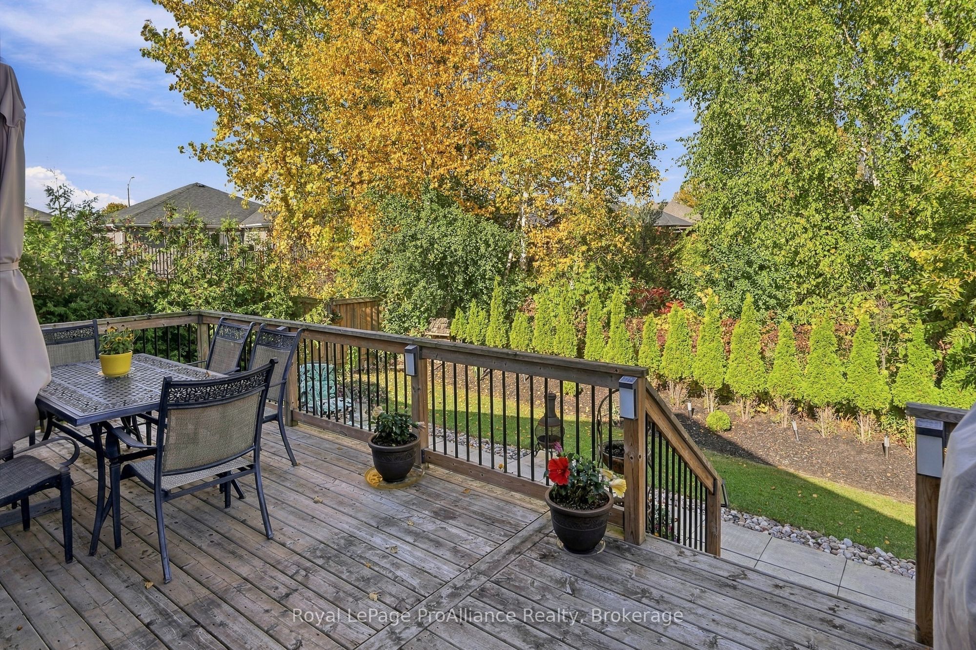 46 Birchmount Street Property Photo 46
