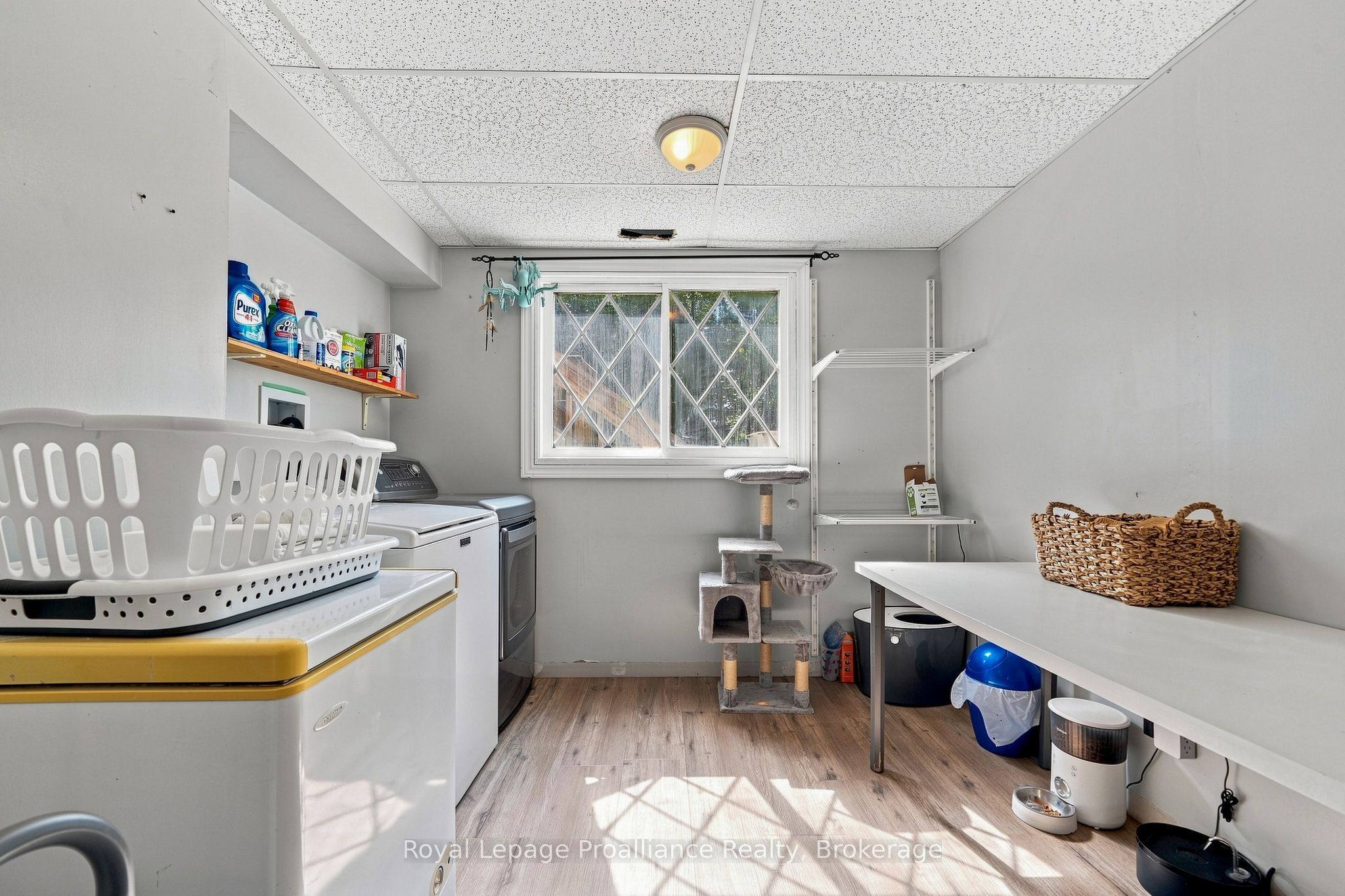 17537 Telephone Road Property Photo 28