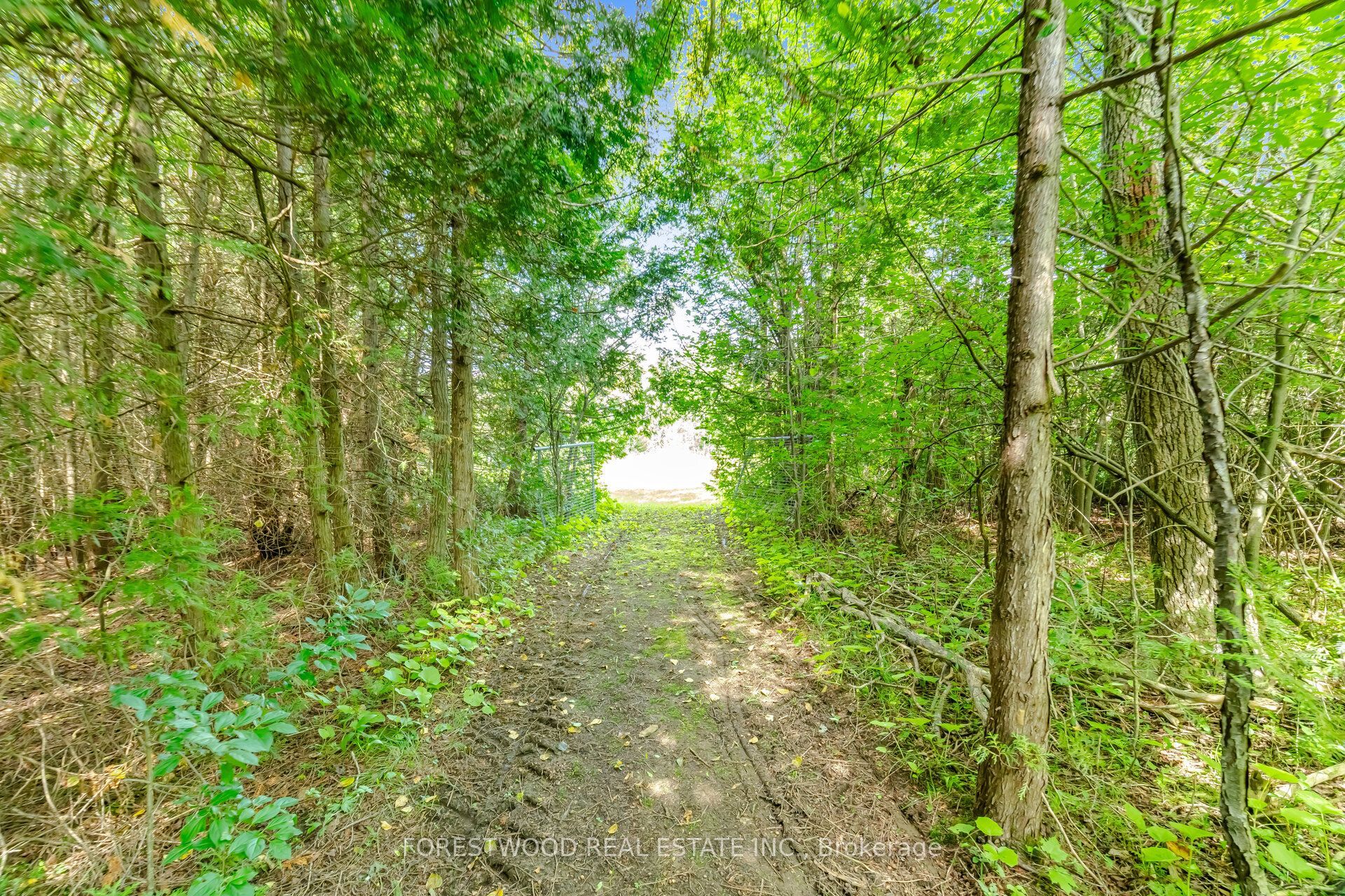 5688 Sixth Line Property Photo 50