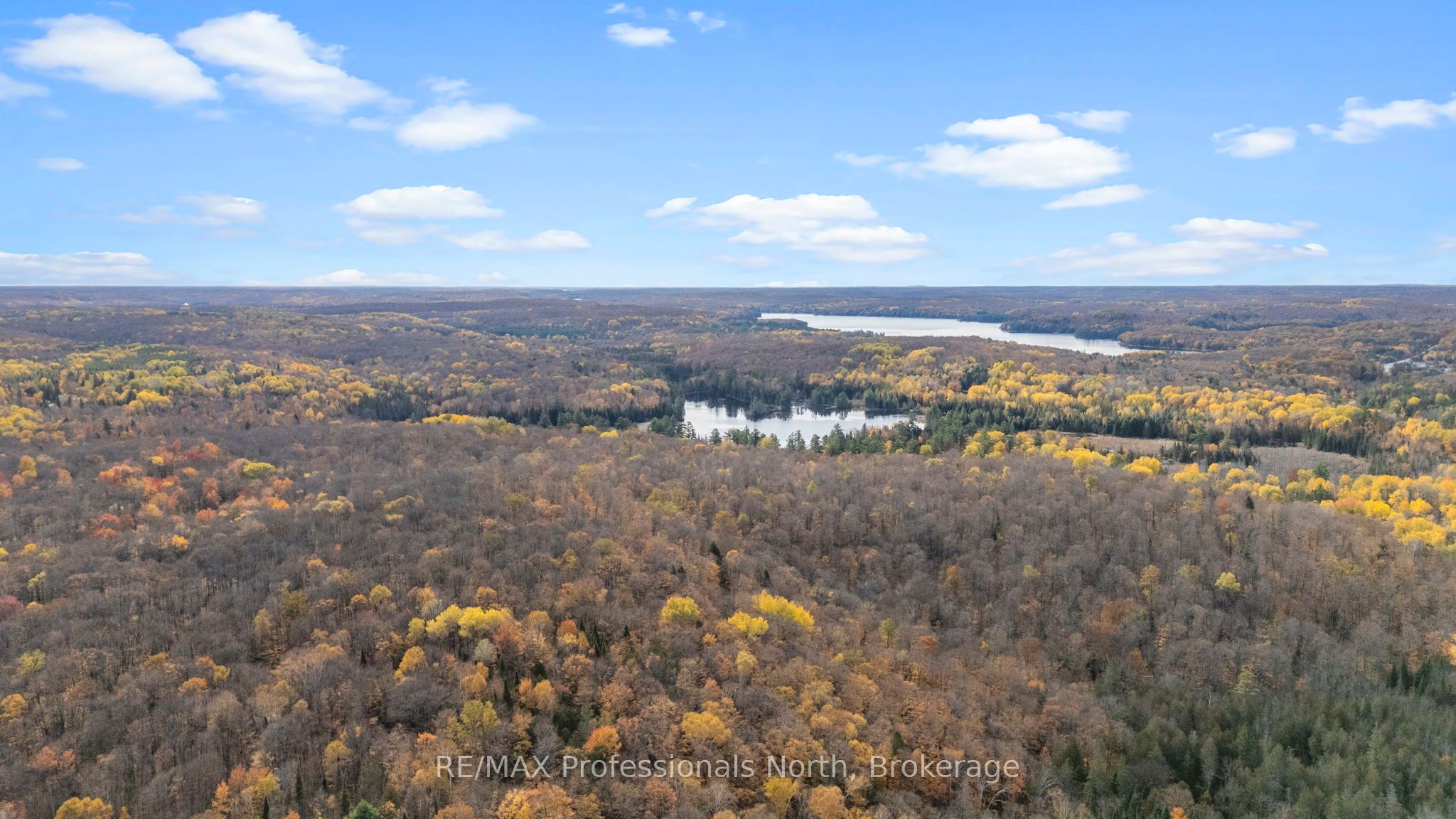 1704 Voicey Road Property Photo 47