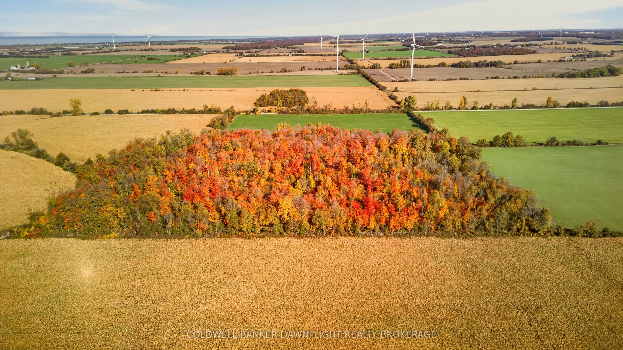 Part Lot 25 Danceland Road Property Photo 6