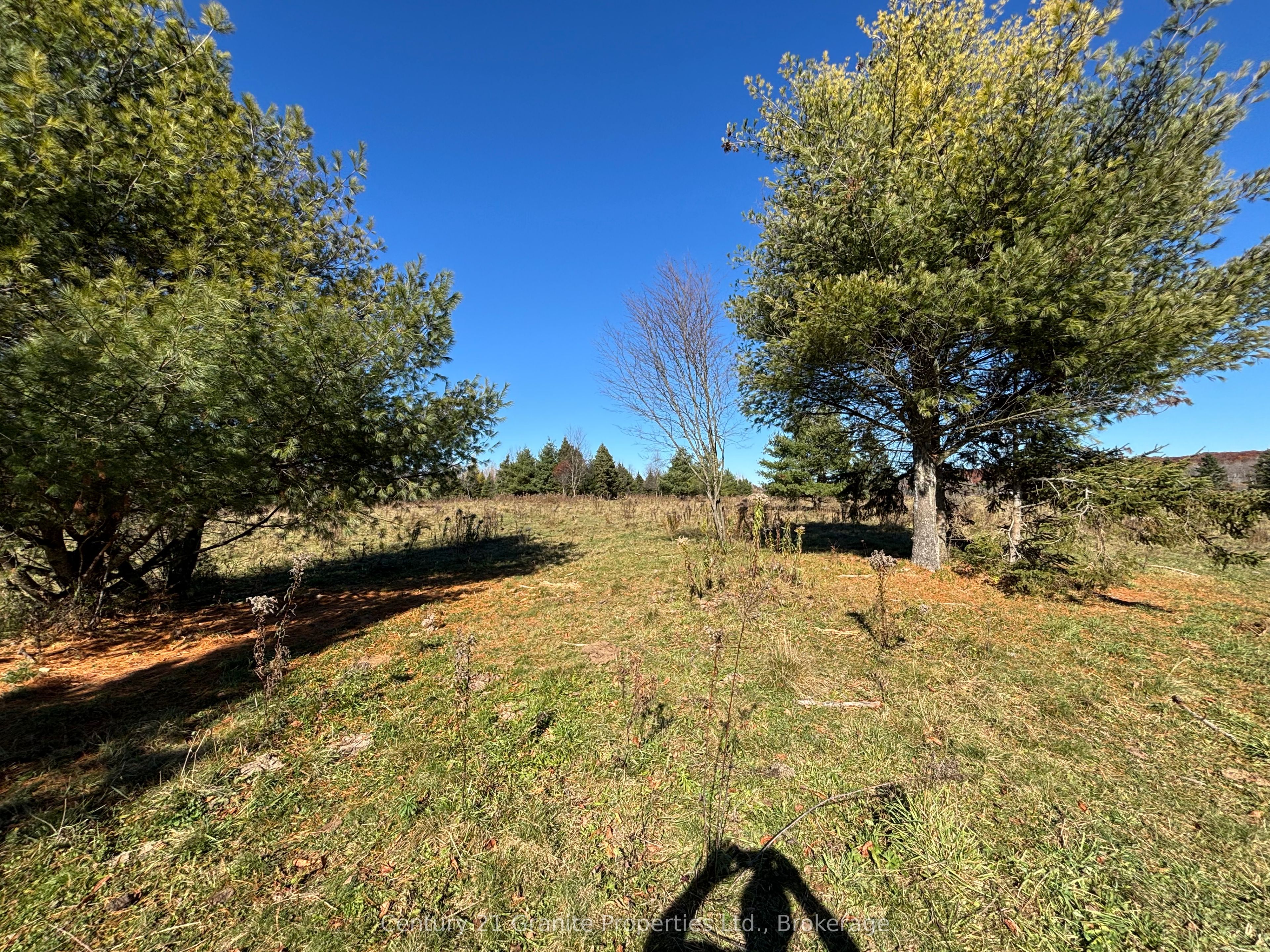 Part 3 Balsam Road Property Photo 1