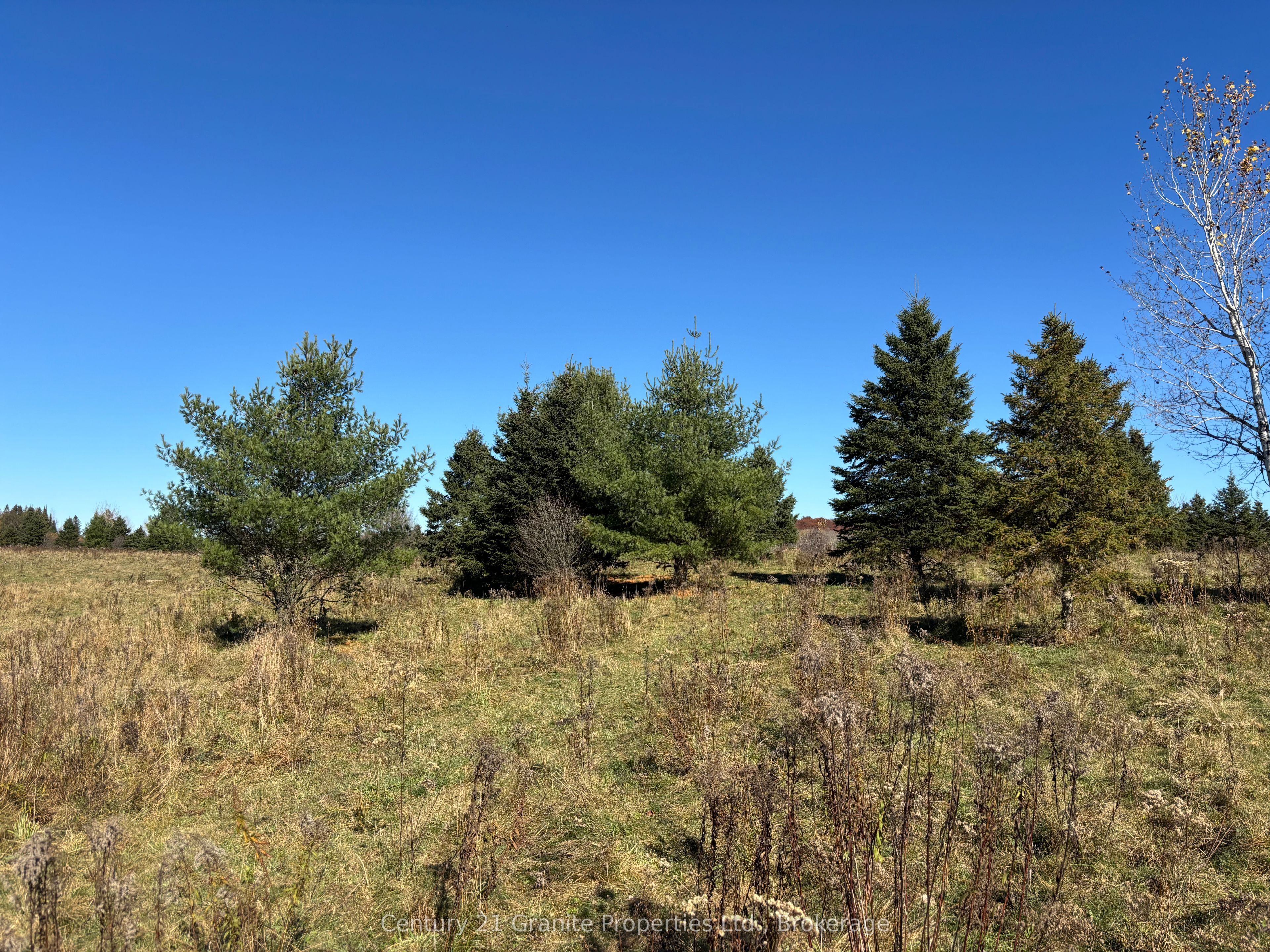 Part 3 Balsam Road Property Photo 3