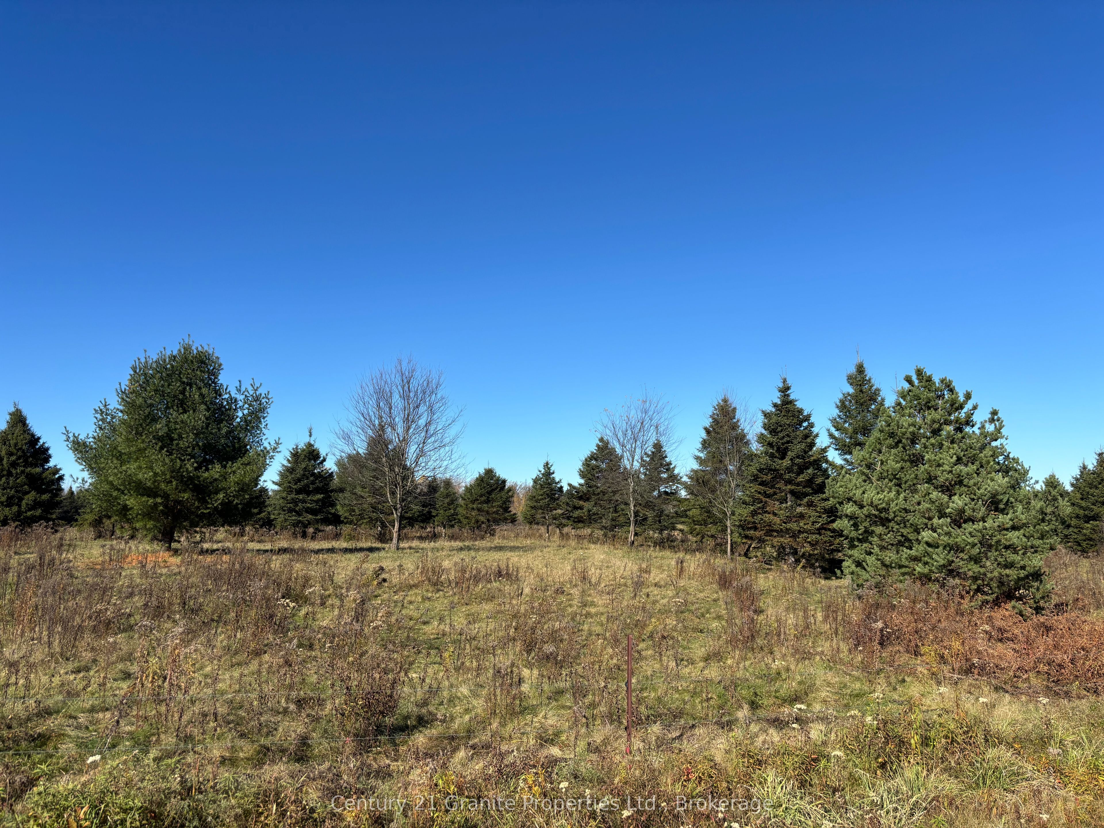 Part 3 Balsam Road Property Photo 5