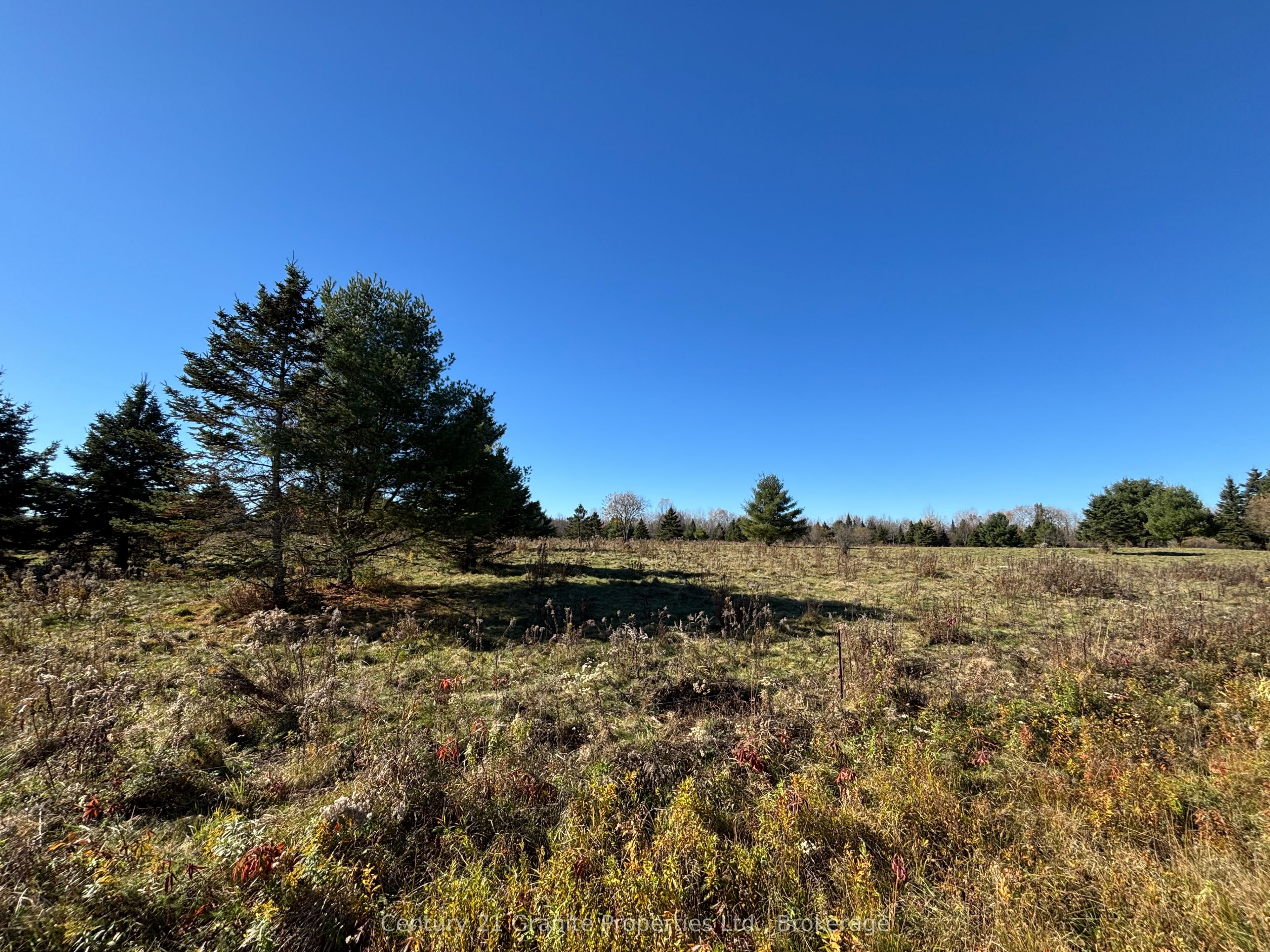 Part 3 Balsam Road Property Photo 6