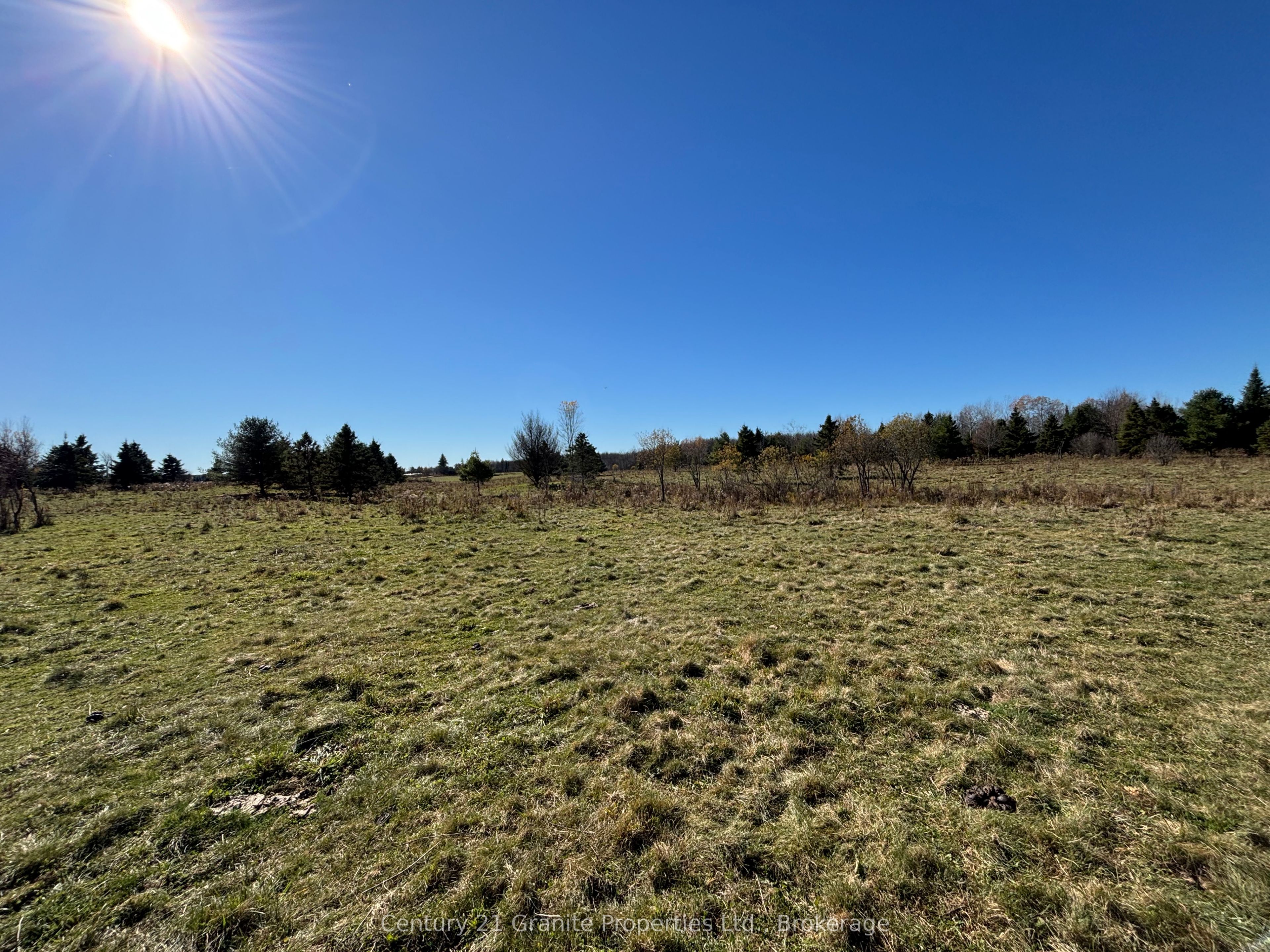 Part 3 Balsam Road Property Photo 9