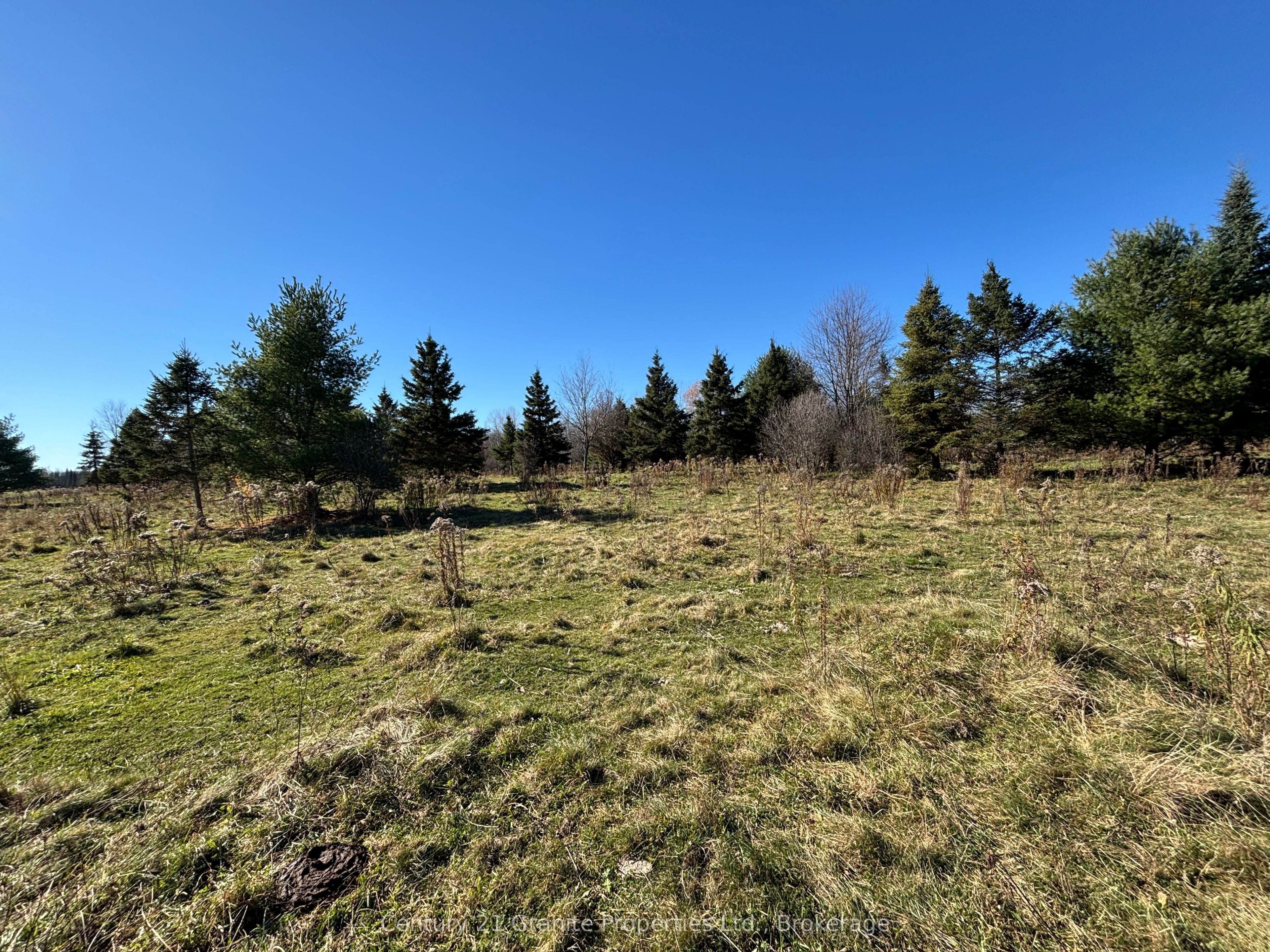 Part 3 Balsam Road Property Photo 12