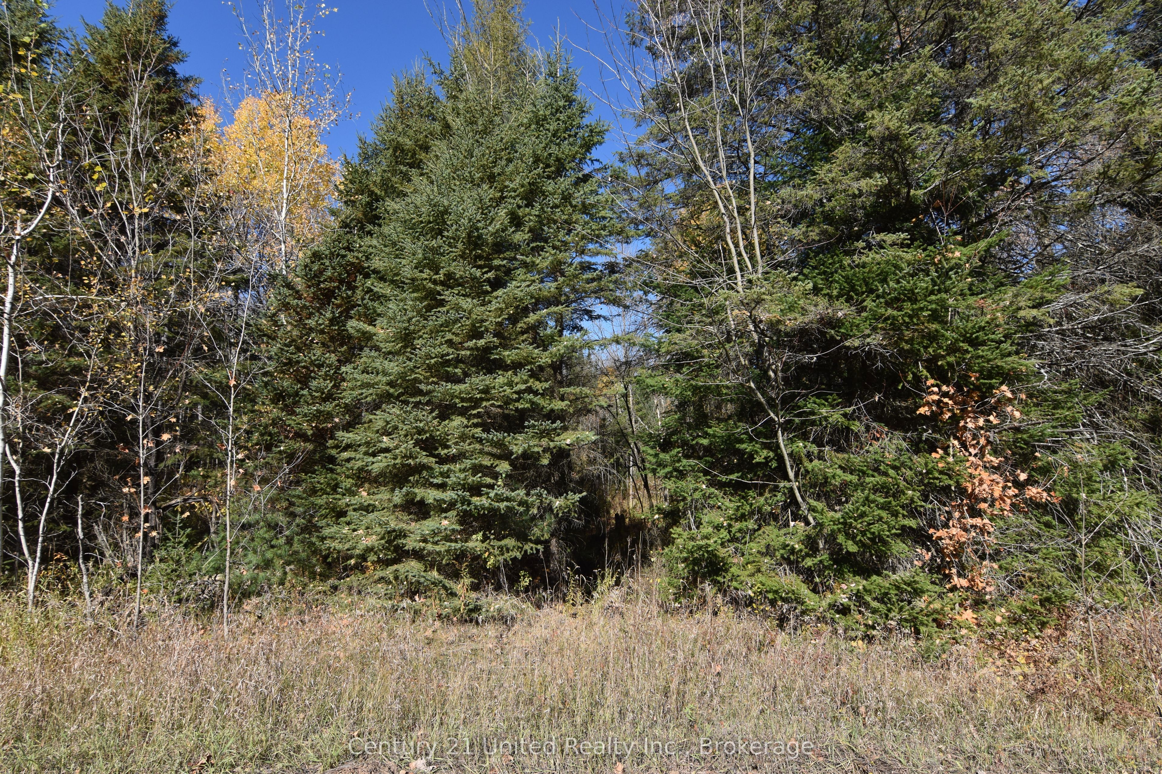 0 Highway 620 Property Photo 1