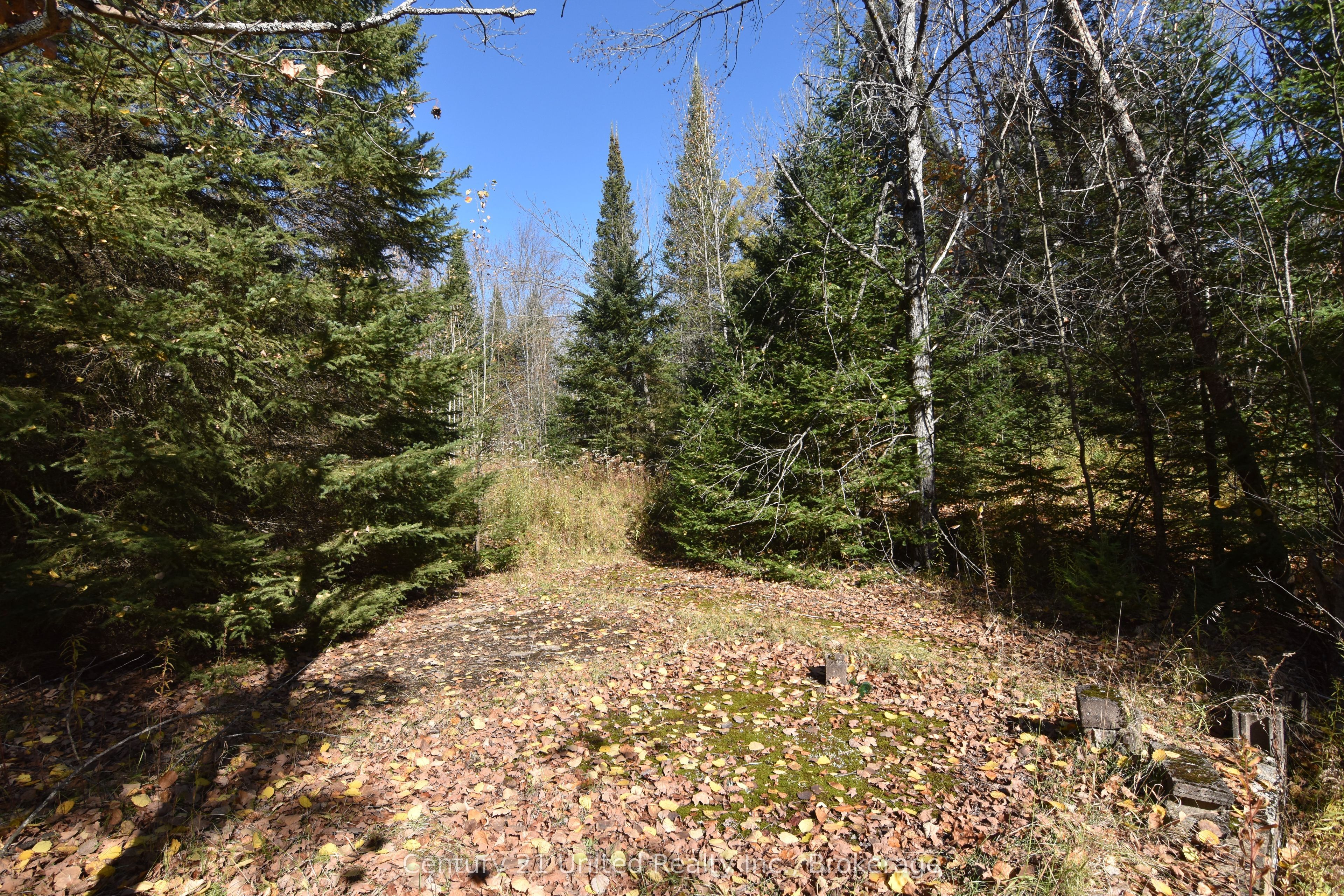 0 Highway 620 Property Photo 3
