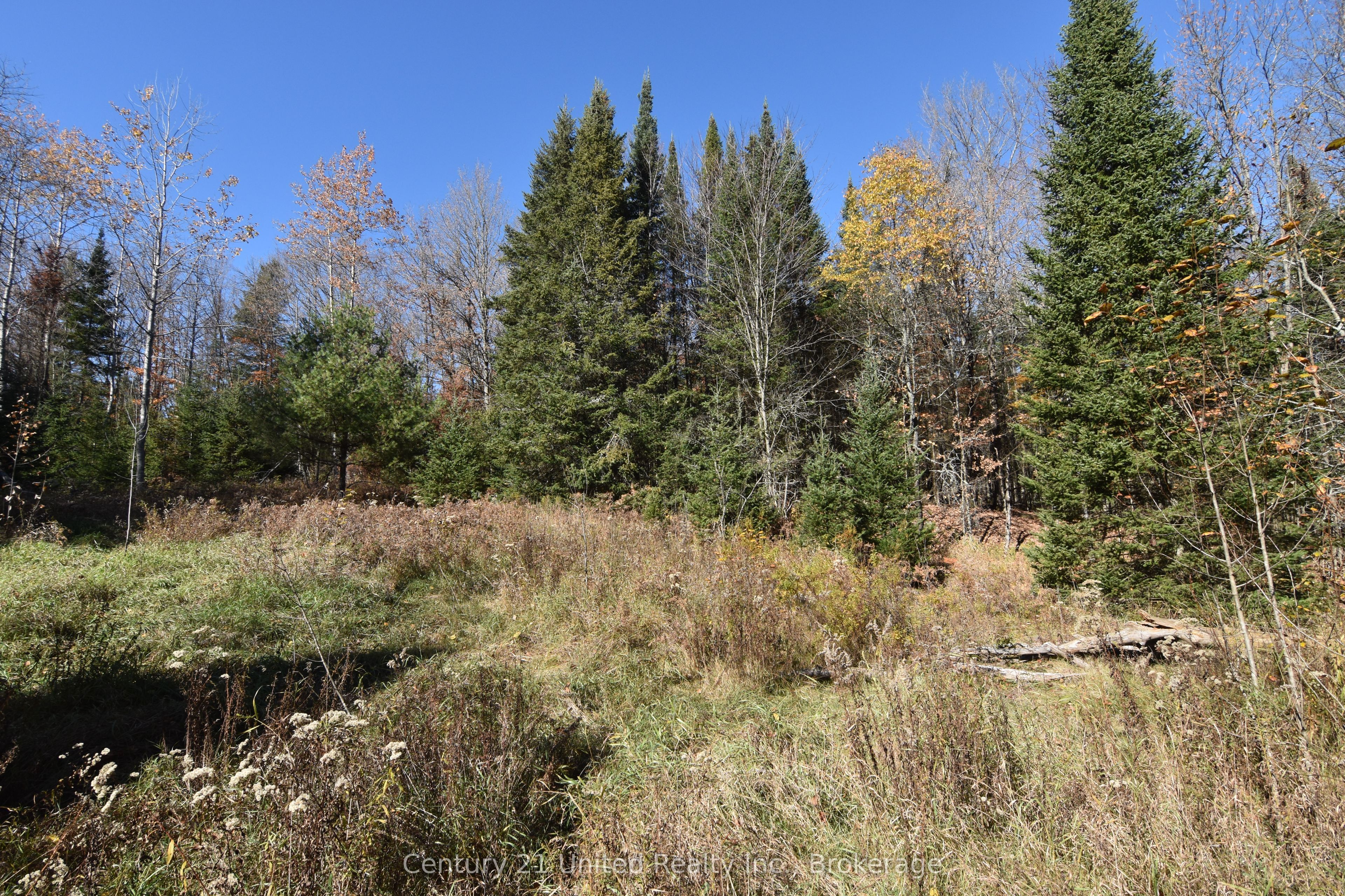 0 Highway 620 Property Photo 4