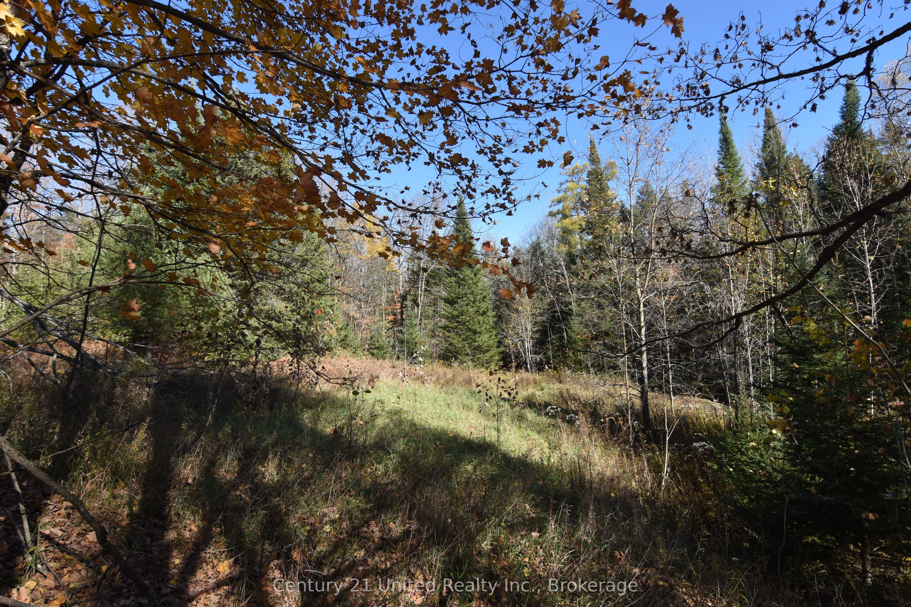 0 Highway 620 Property Photo 5