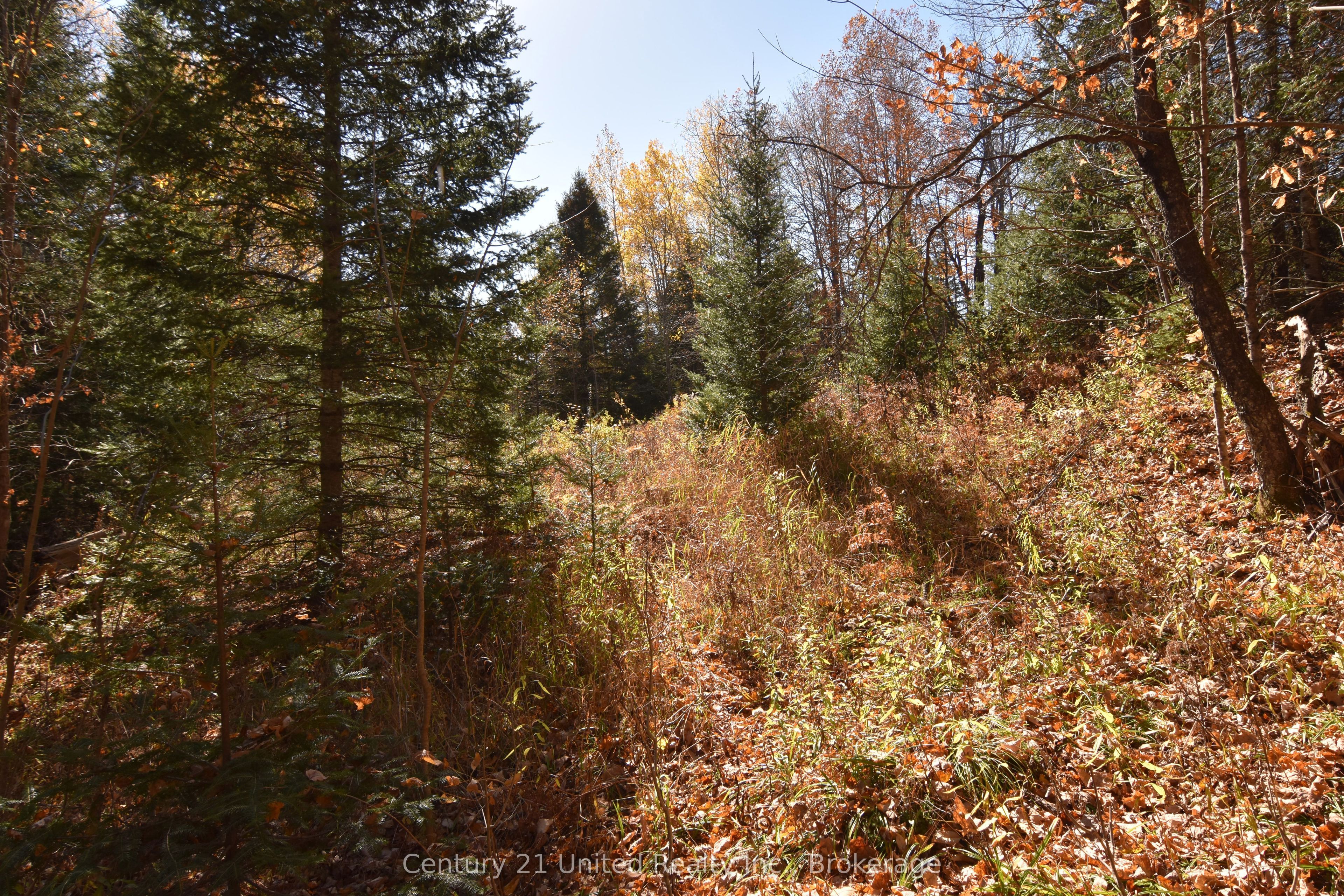 0 Highway 620 Property Photo 6