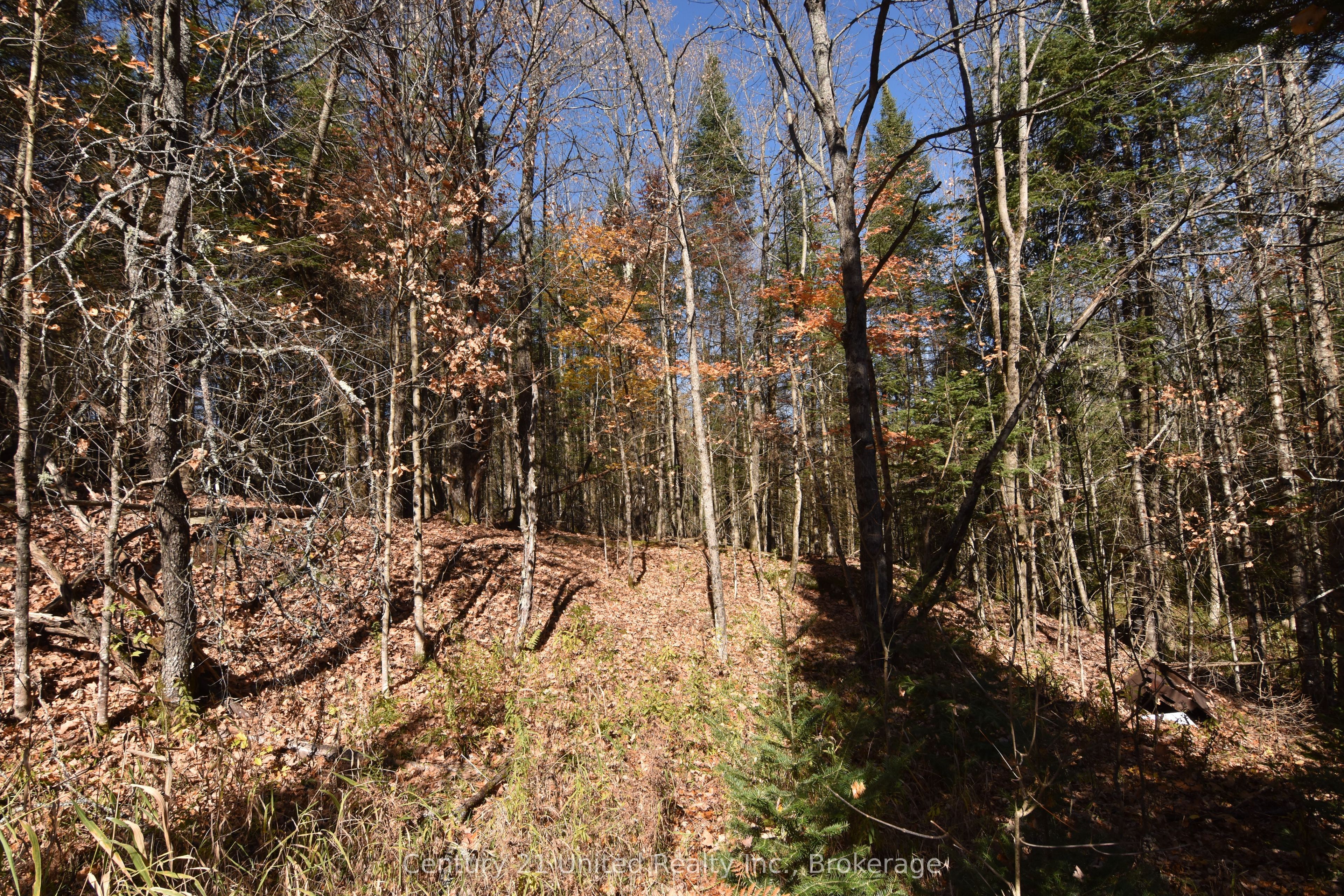 0 Highway 620 Property Photo 7