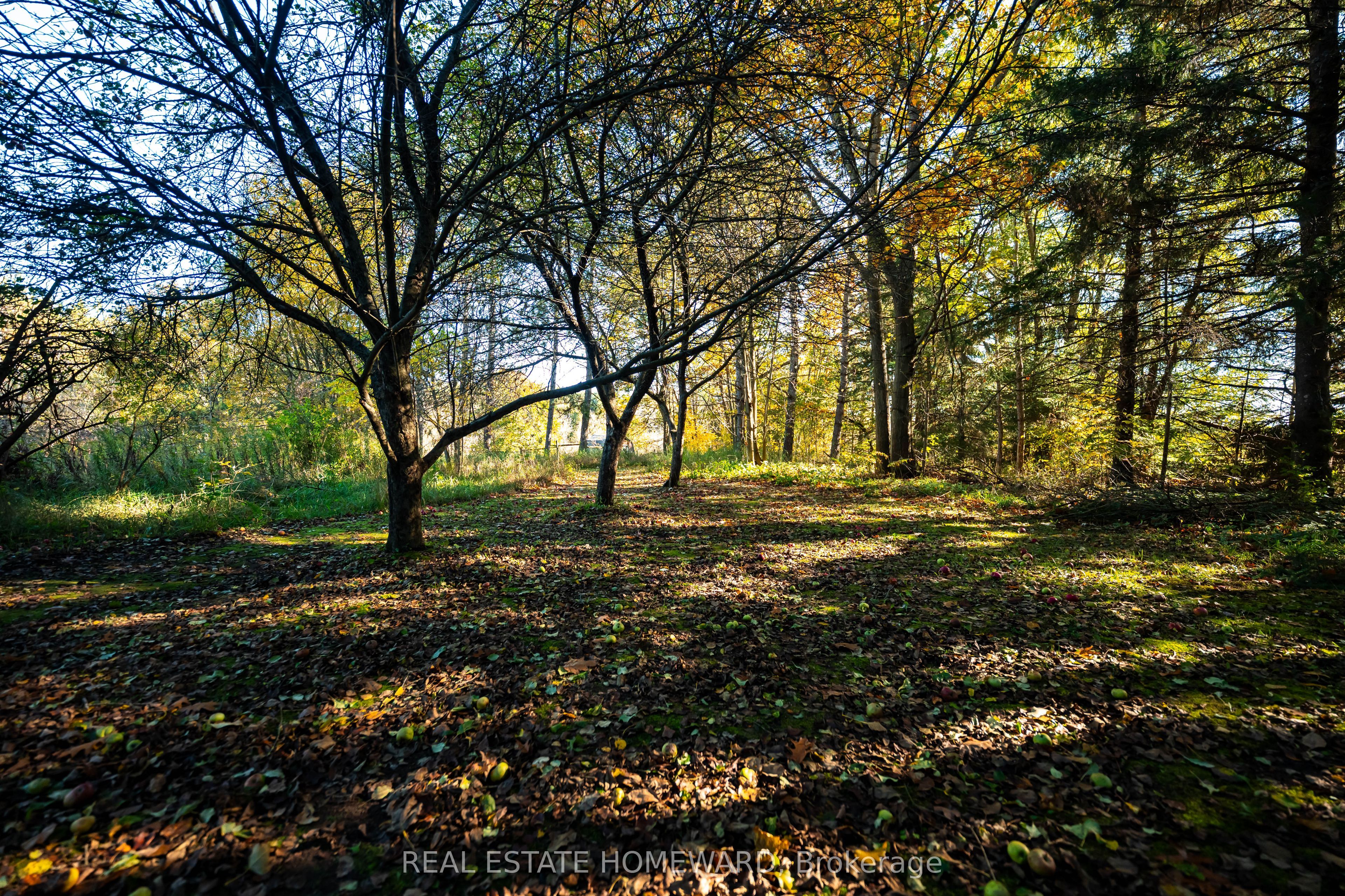 595343 Blindline Road Property Photo 21