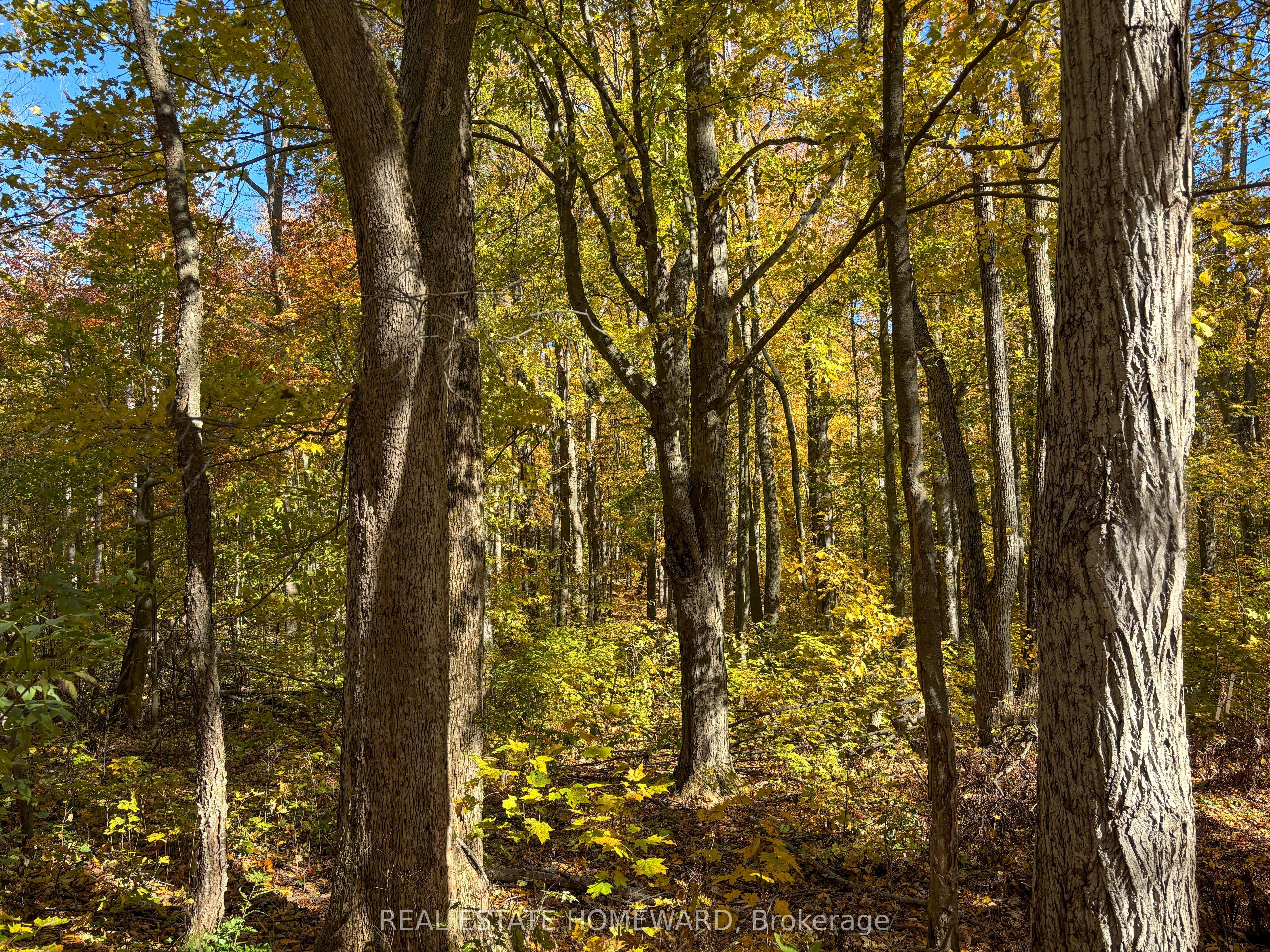595343 Blindline Road Property Photo 22