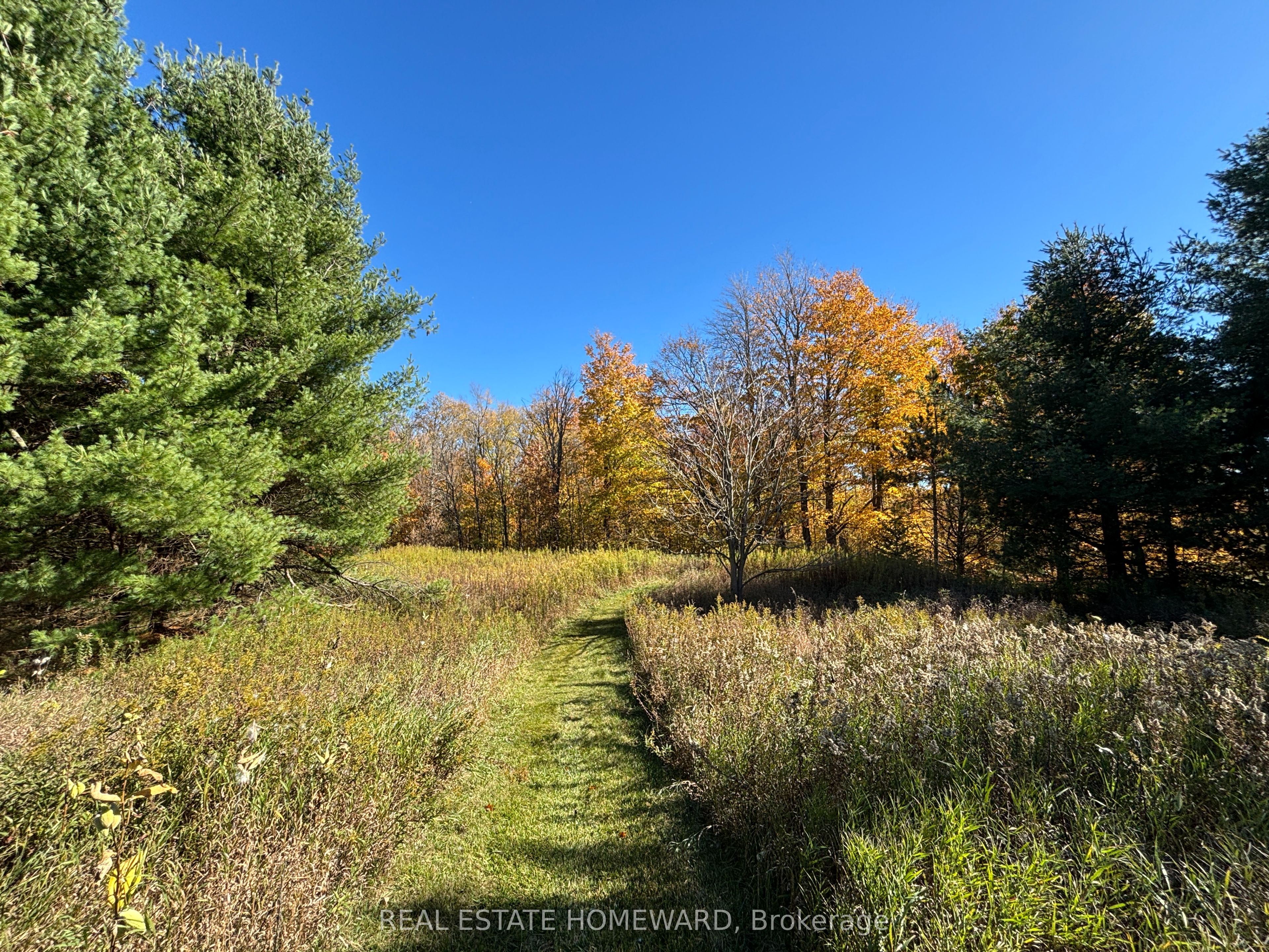 595343 Blindline Road Property Photo 23