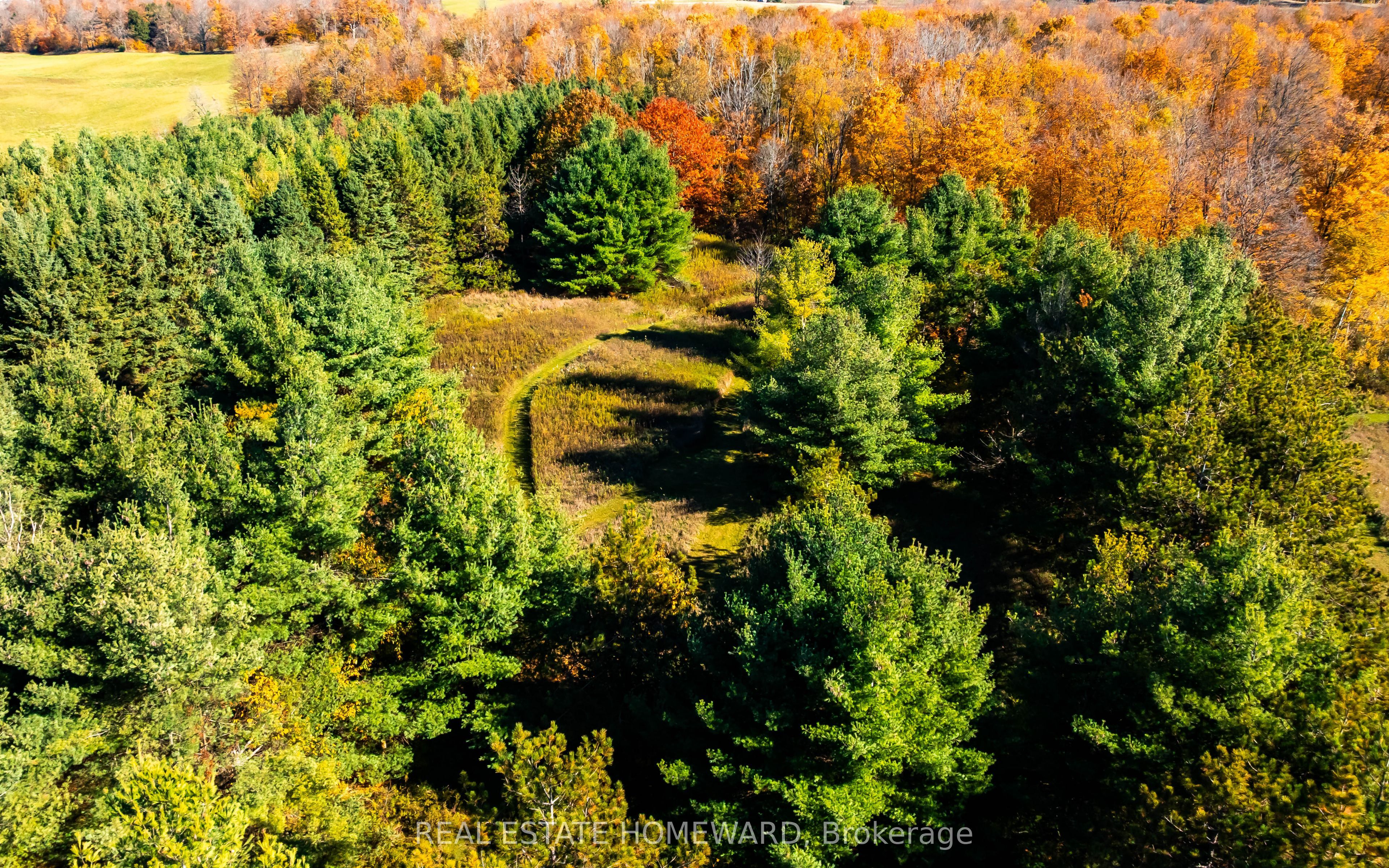 595343 Blindline Road Property Photo 26