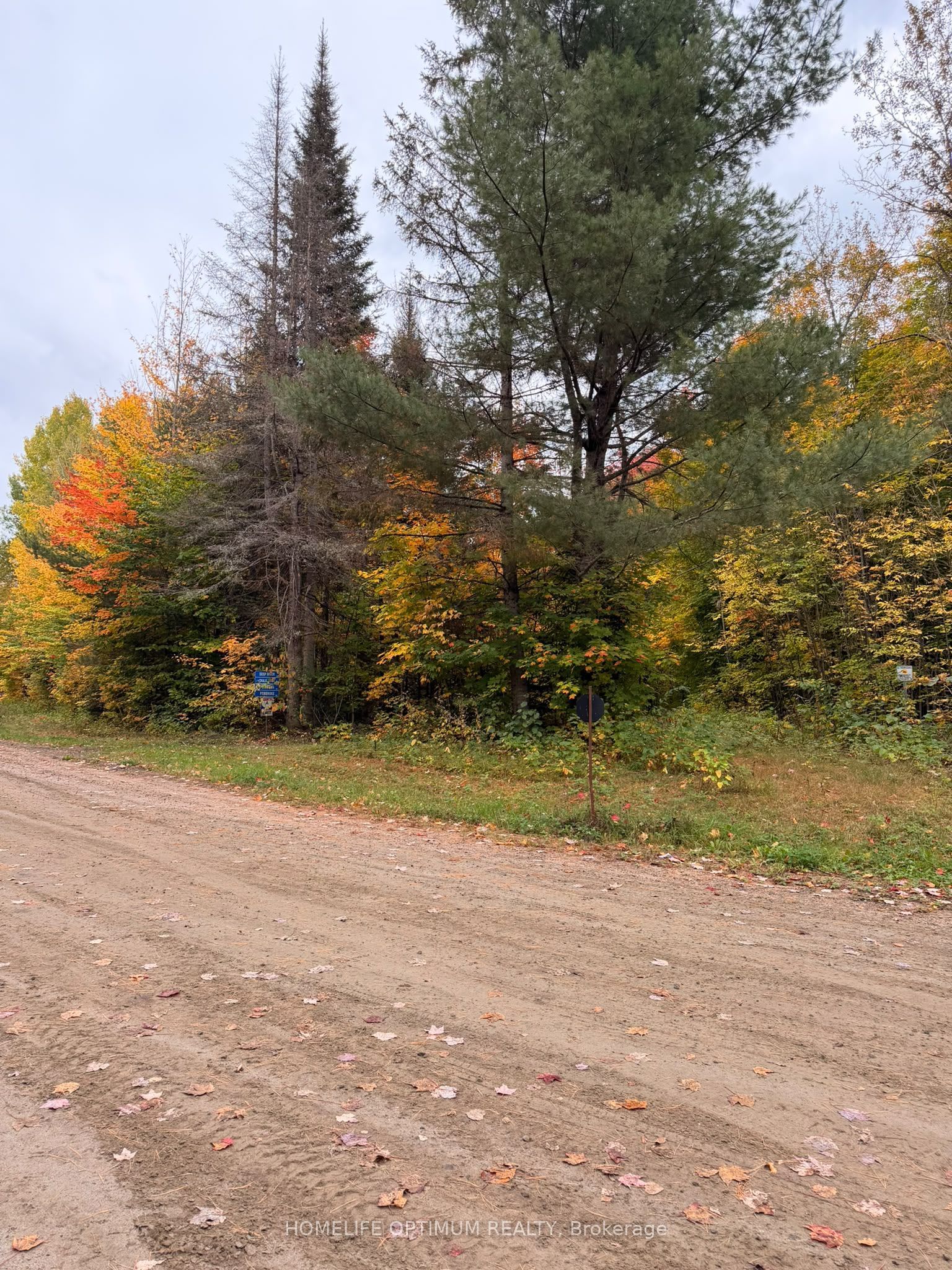 Pt Lt 26 Con A Loggers Road Property Photo 2