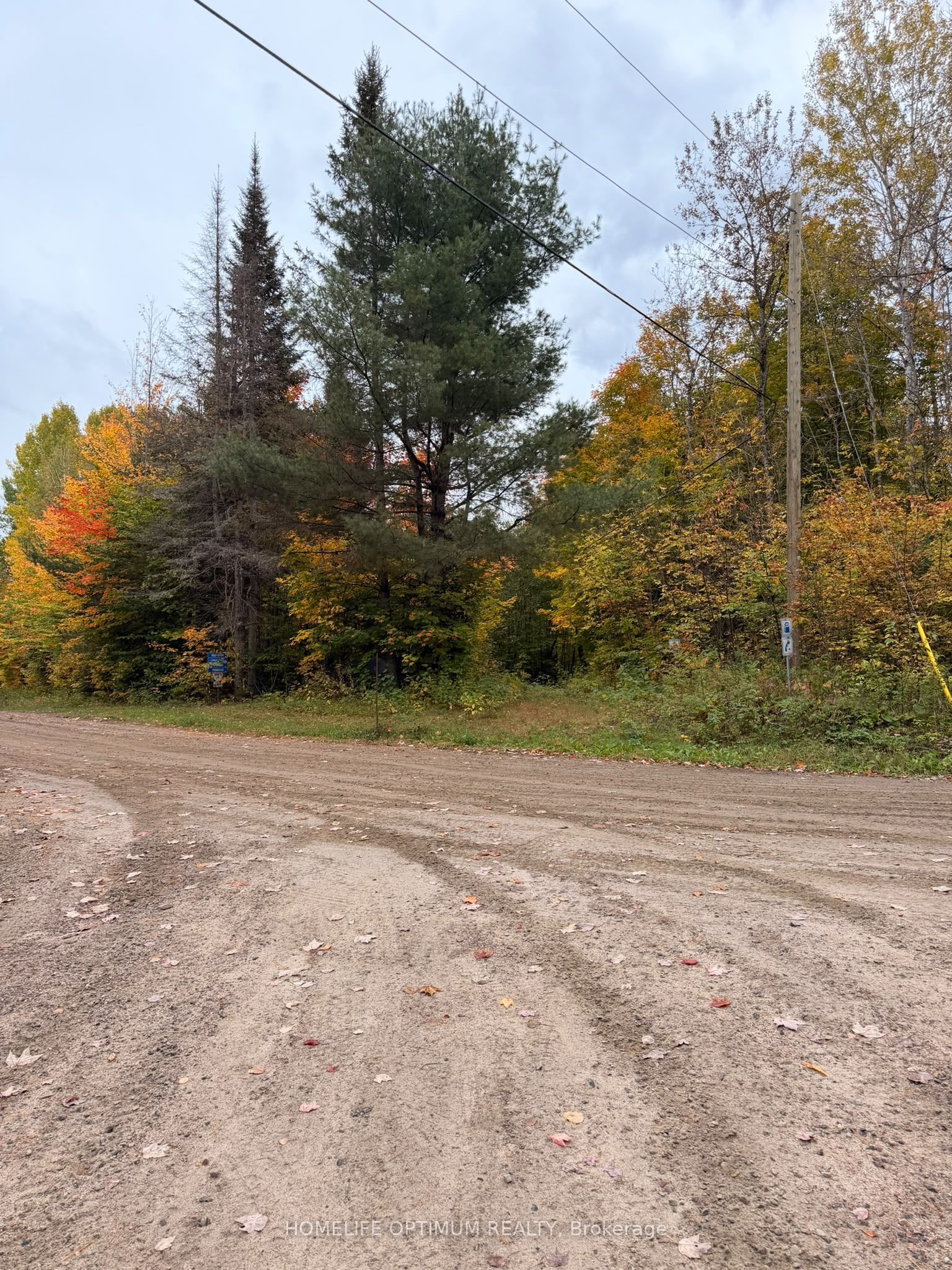 Pt Lt 26 Con A Loggers Road Property Photo 6
