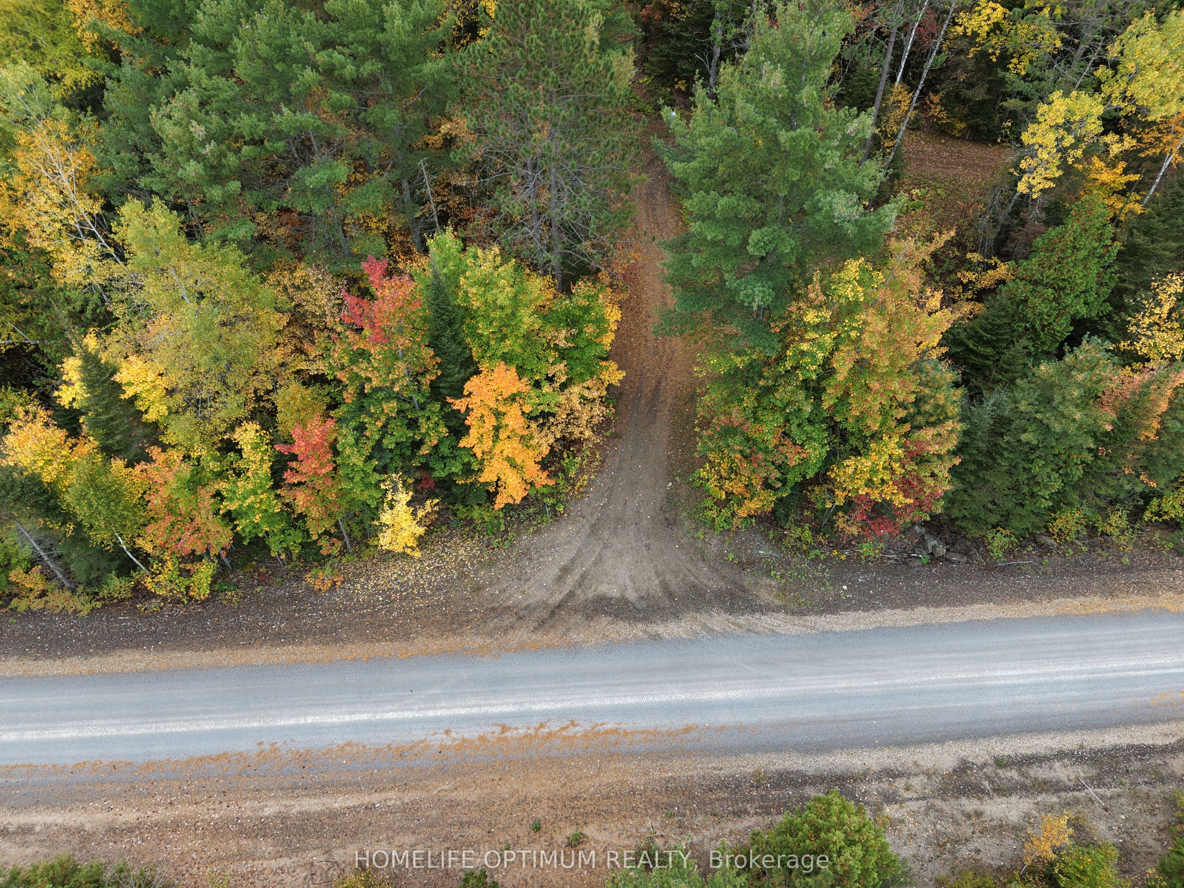 Pt Lt 26 Con A Loggers Road Property Photo 7