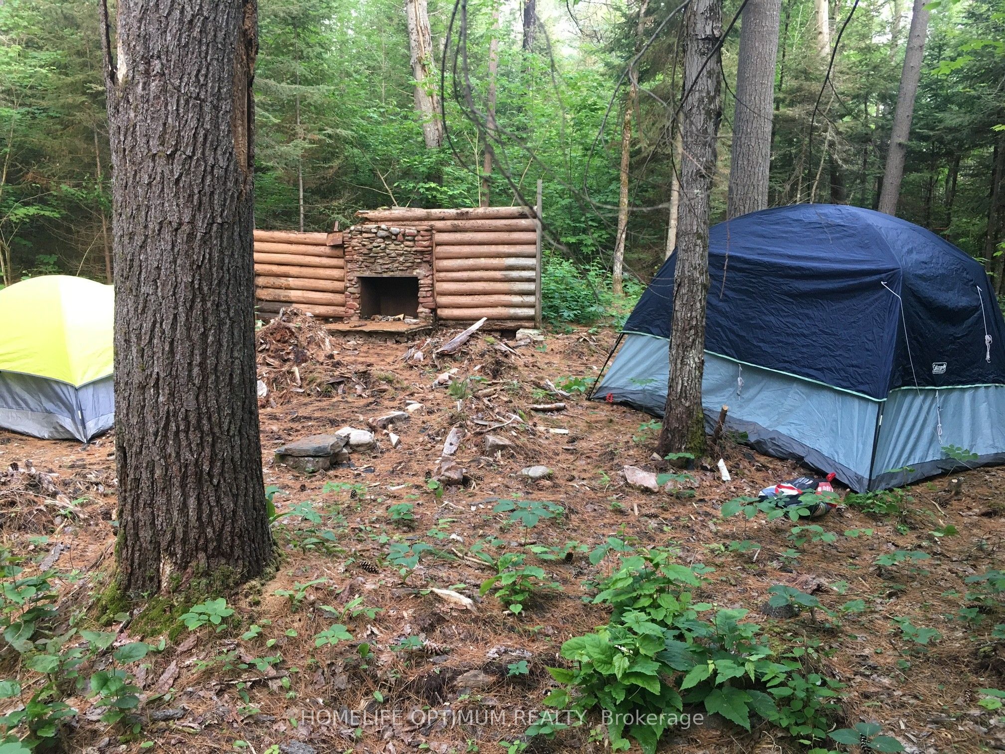 149 Buckshot Road Property Photo 2