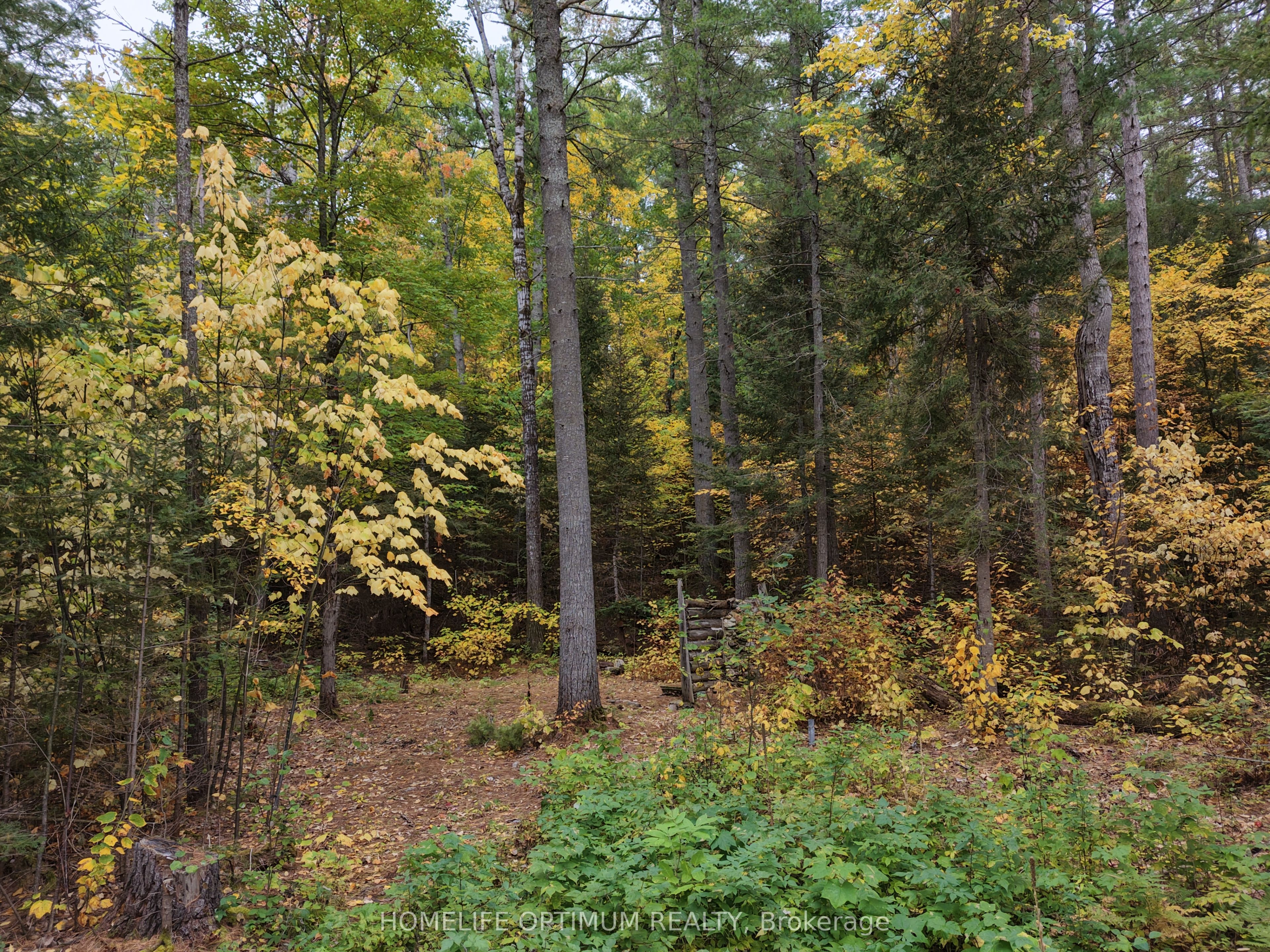 149 Buckshot Road Property Photo 7