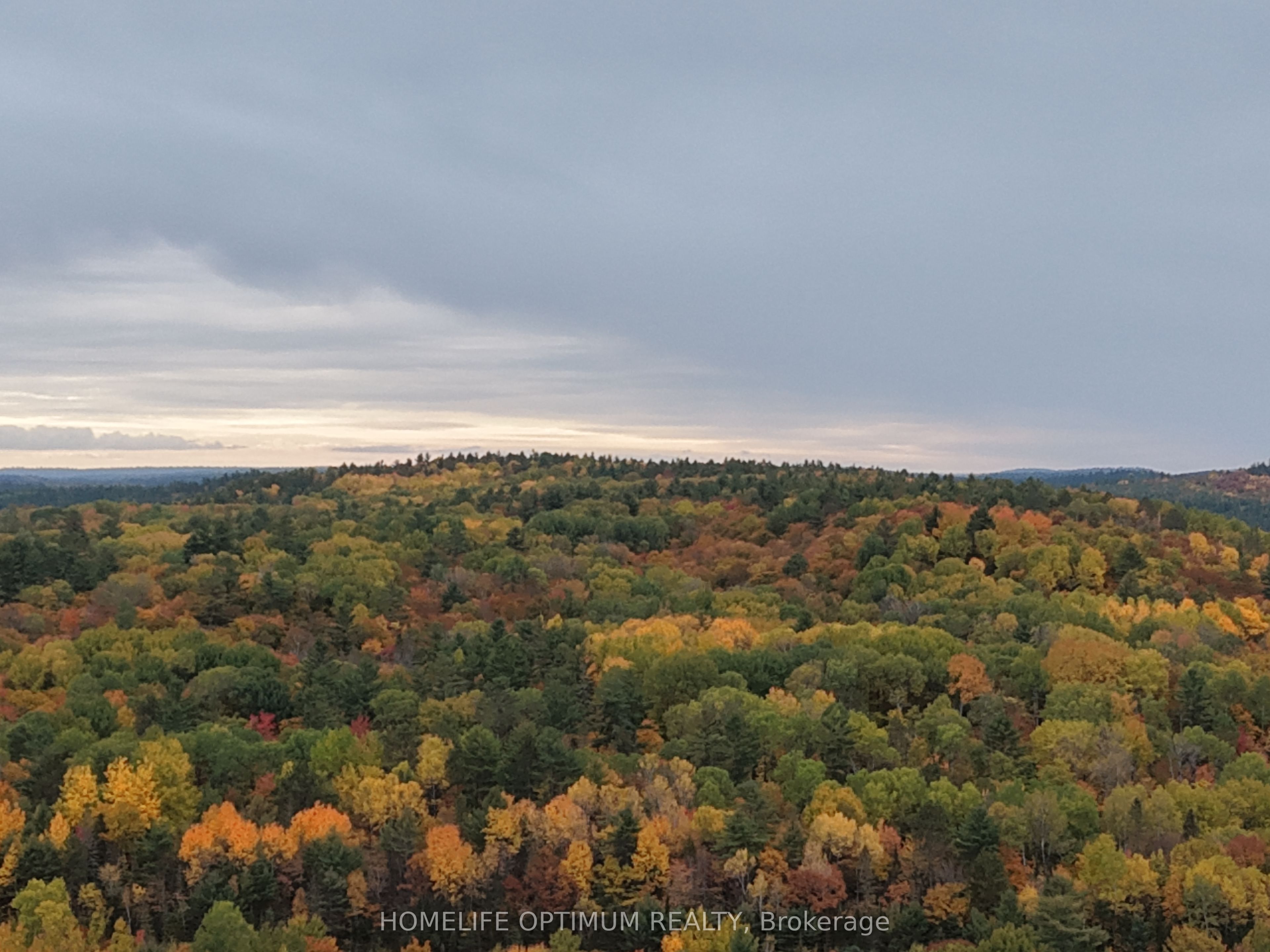 149 Buckshot Road Property Photo 14