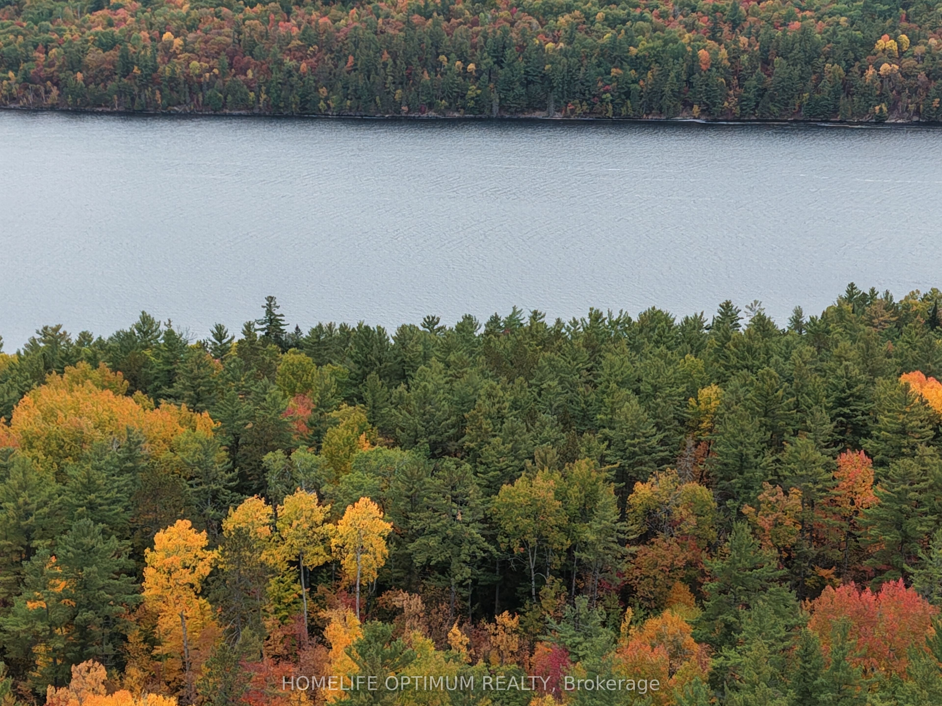 149 Buckshot Road Property Photo 18