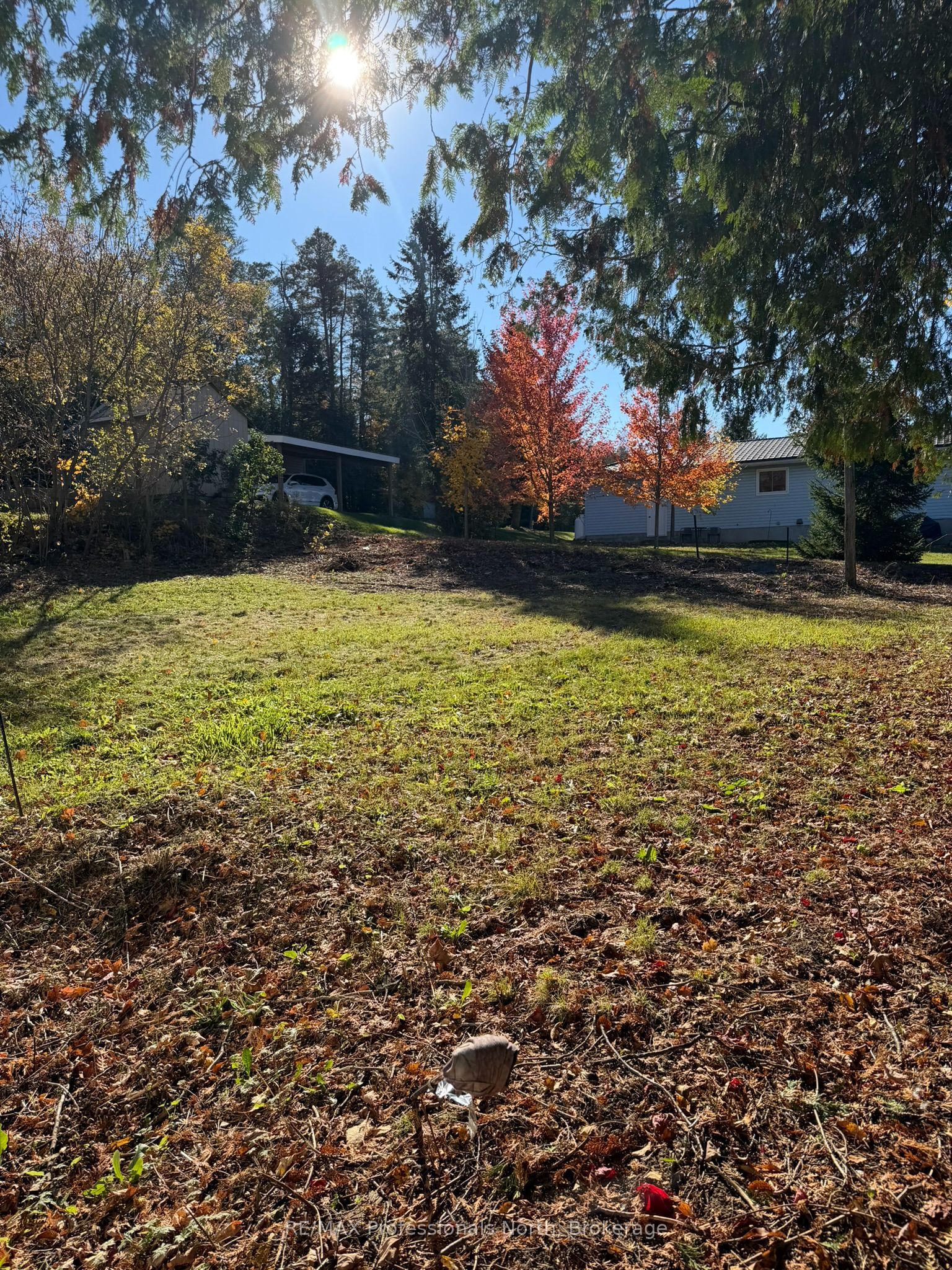 13 Amelia Street W Property Photo 2