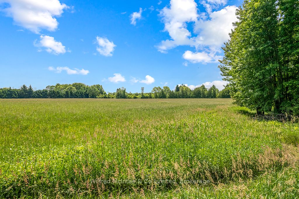 242287 16 Concession Property Photo 44