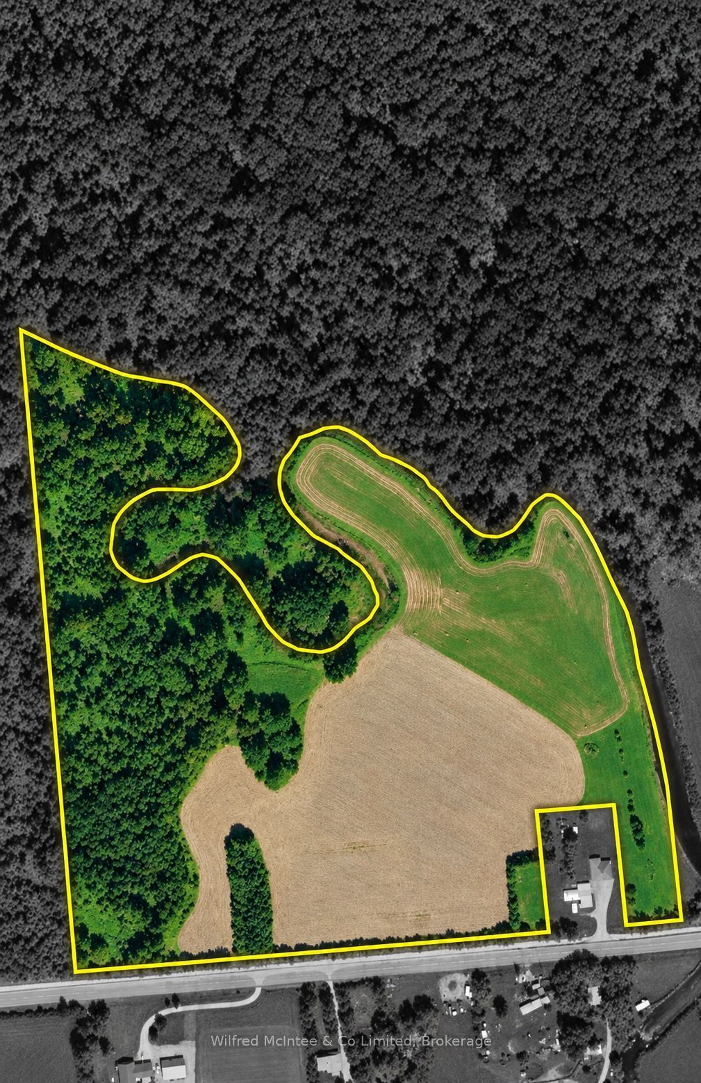 242287 16 Concession Property Photo 46