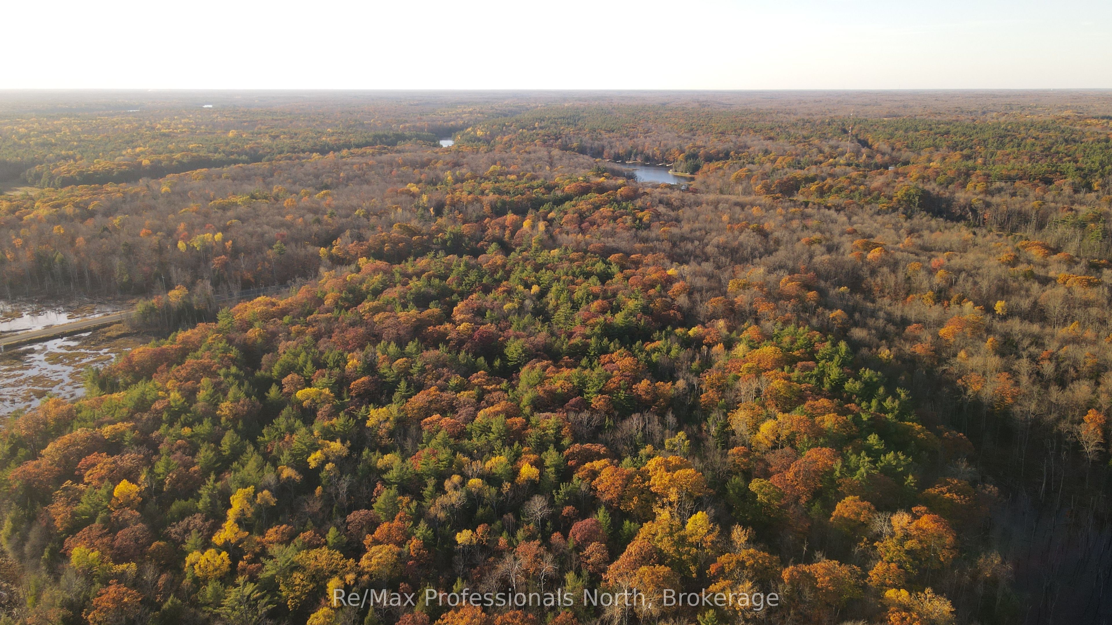 00 Muskoka Rd 38 Road Property Photo 13