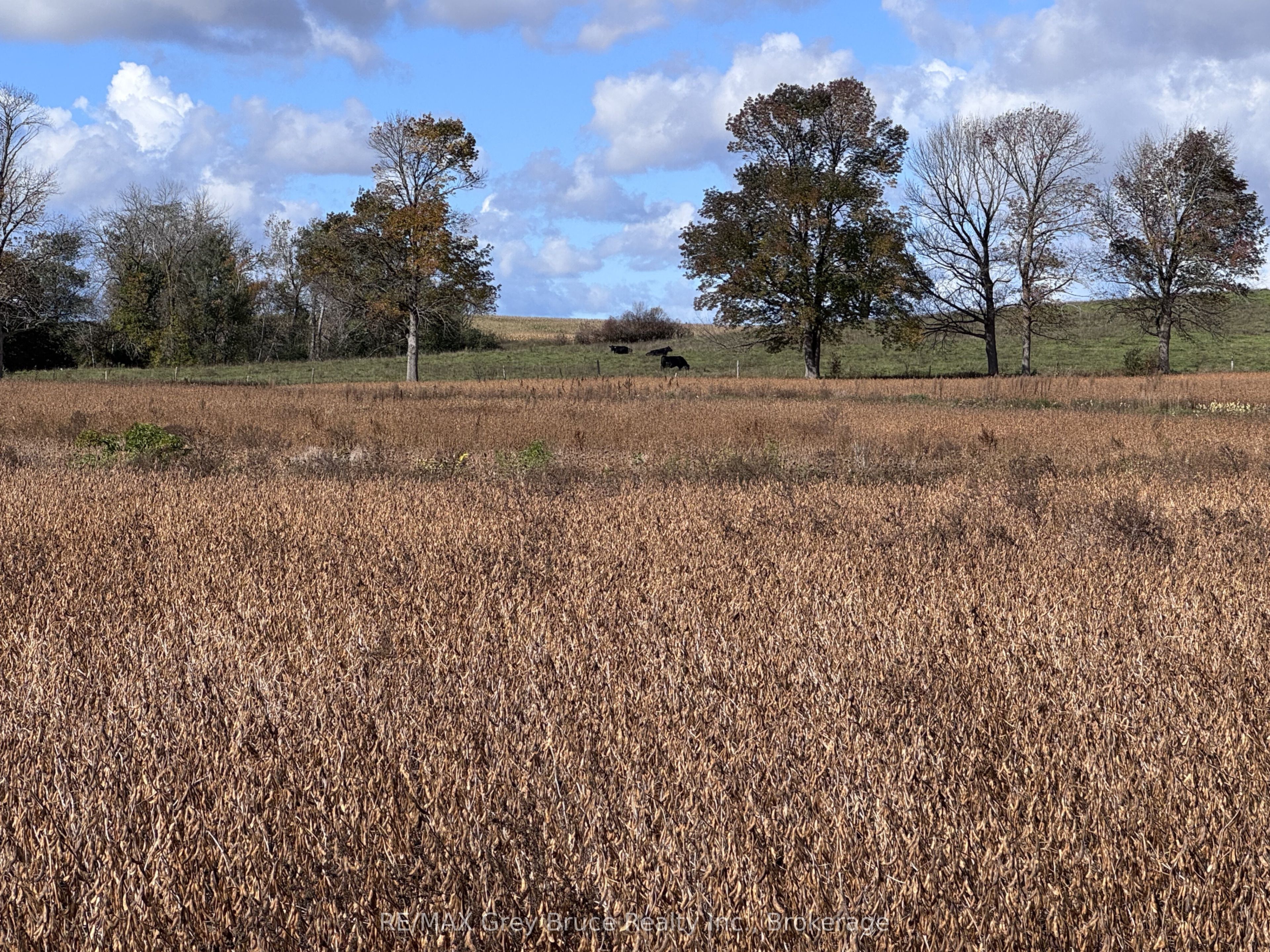 1279 25 Elderslie Side Road Property Photo 15