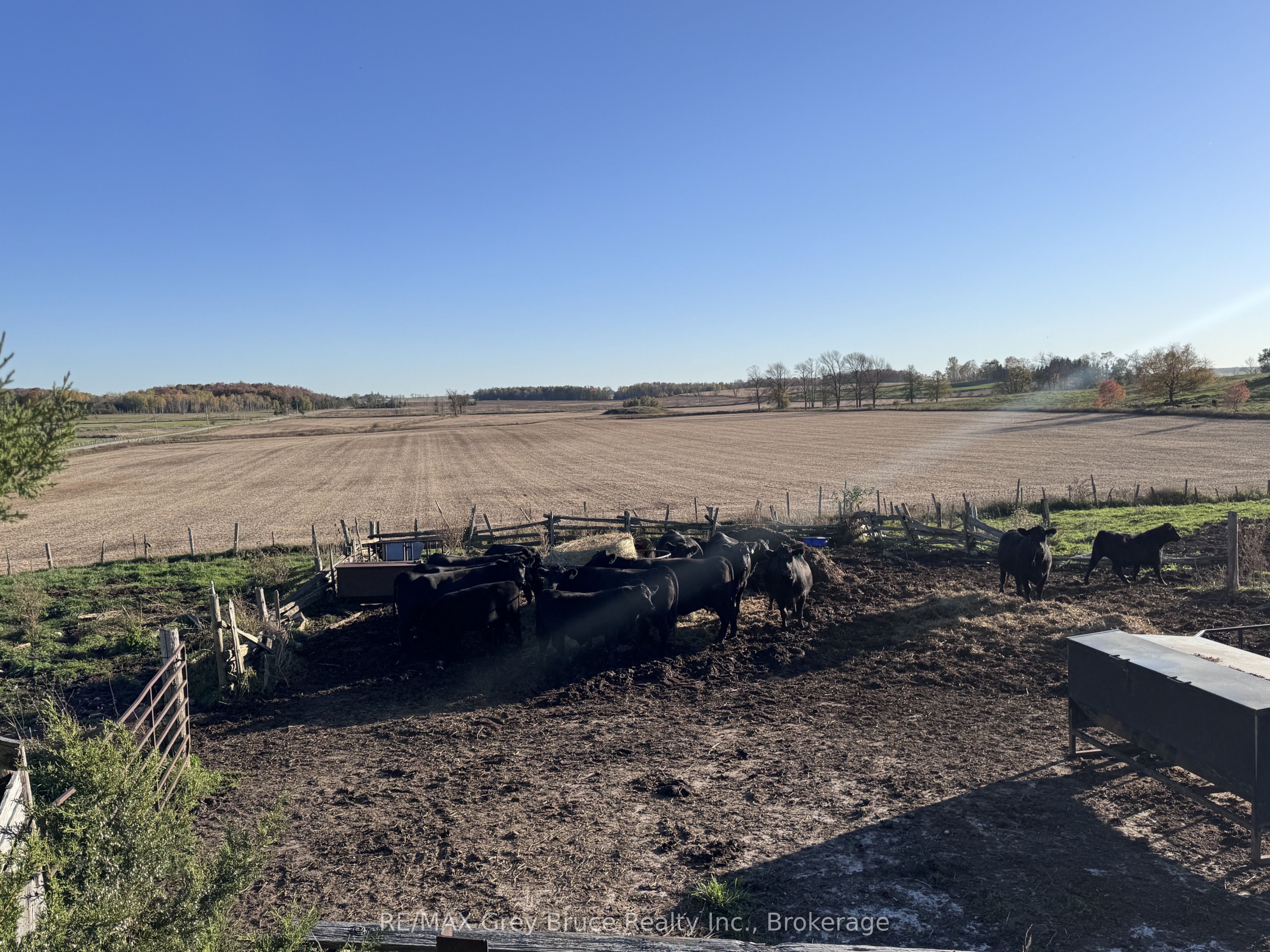 1279 25 Elderslie Side Road Property Photo 16