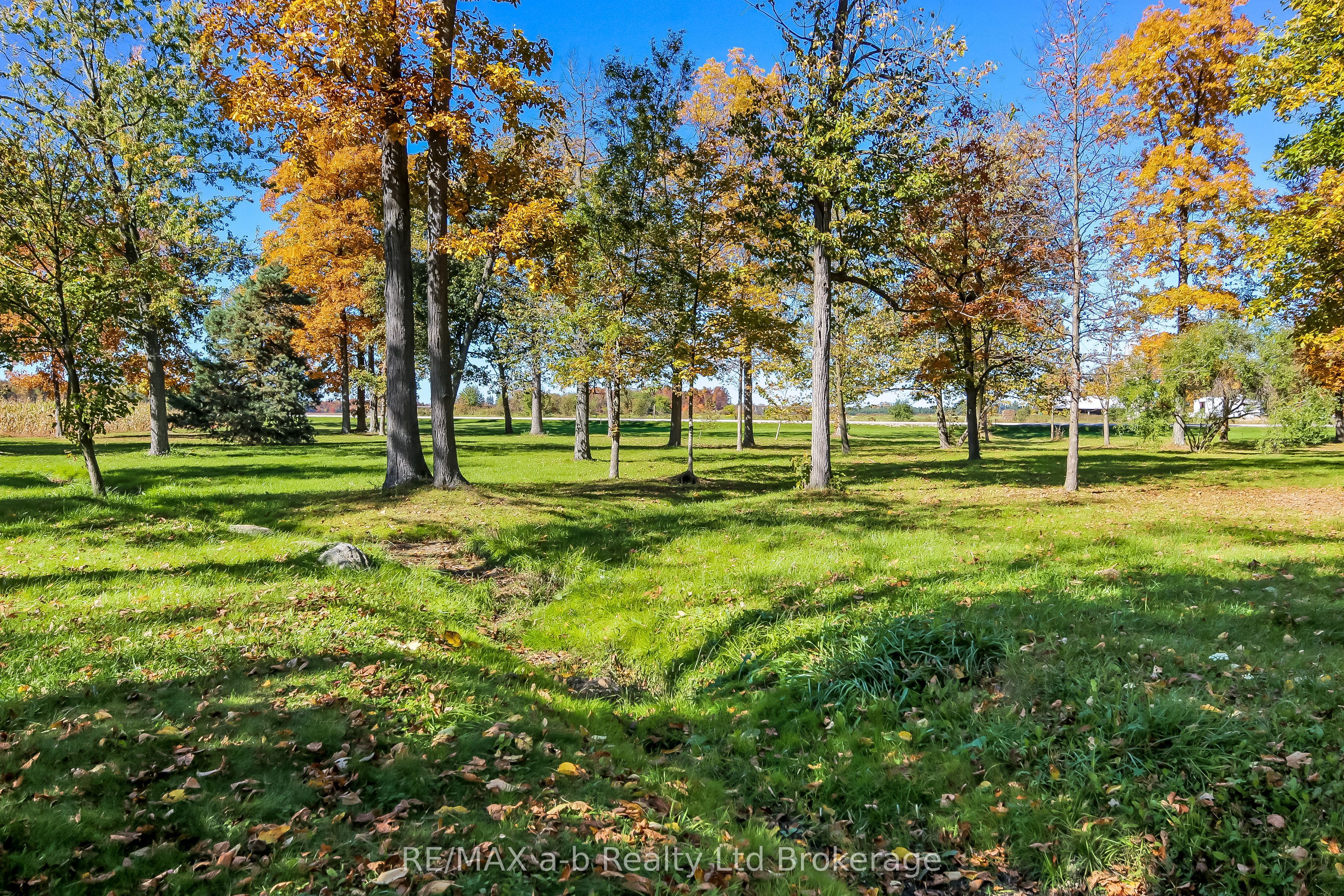 36067 Third Line Property Photo 5