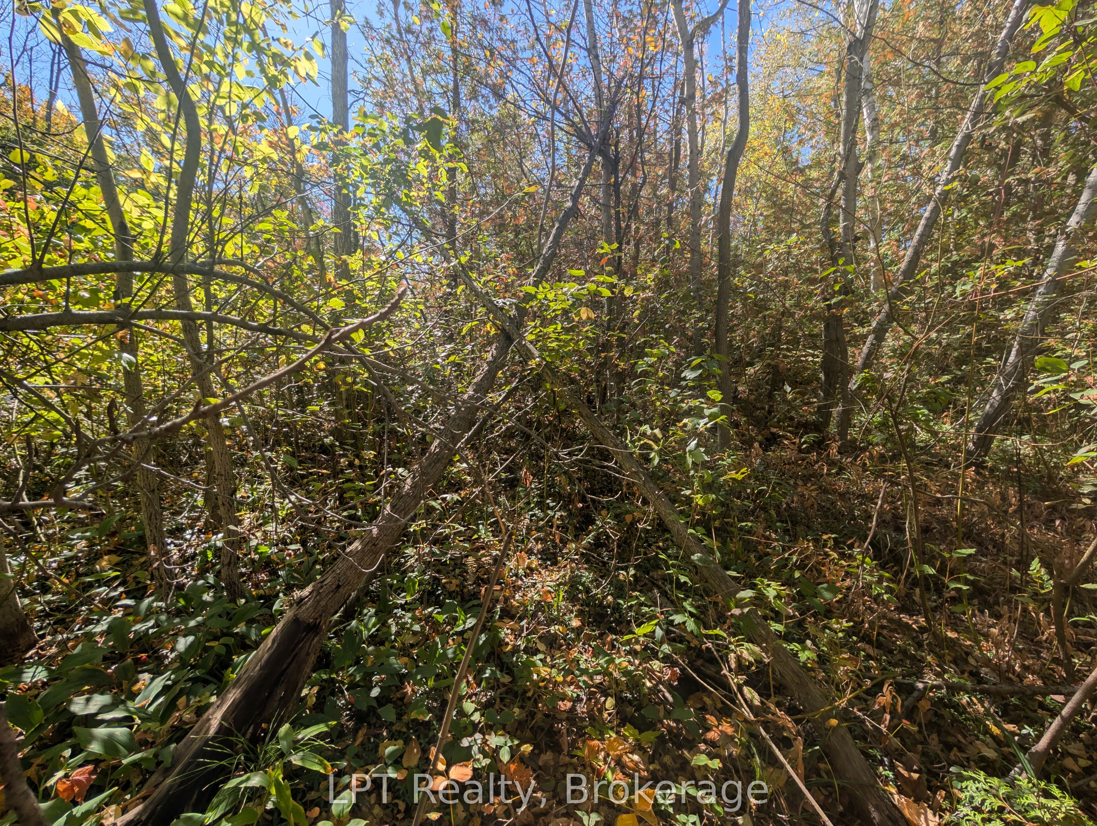 Lt 166 Mallory Beach Road Property Photo 10