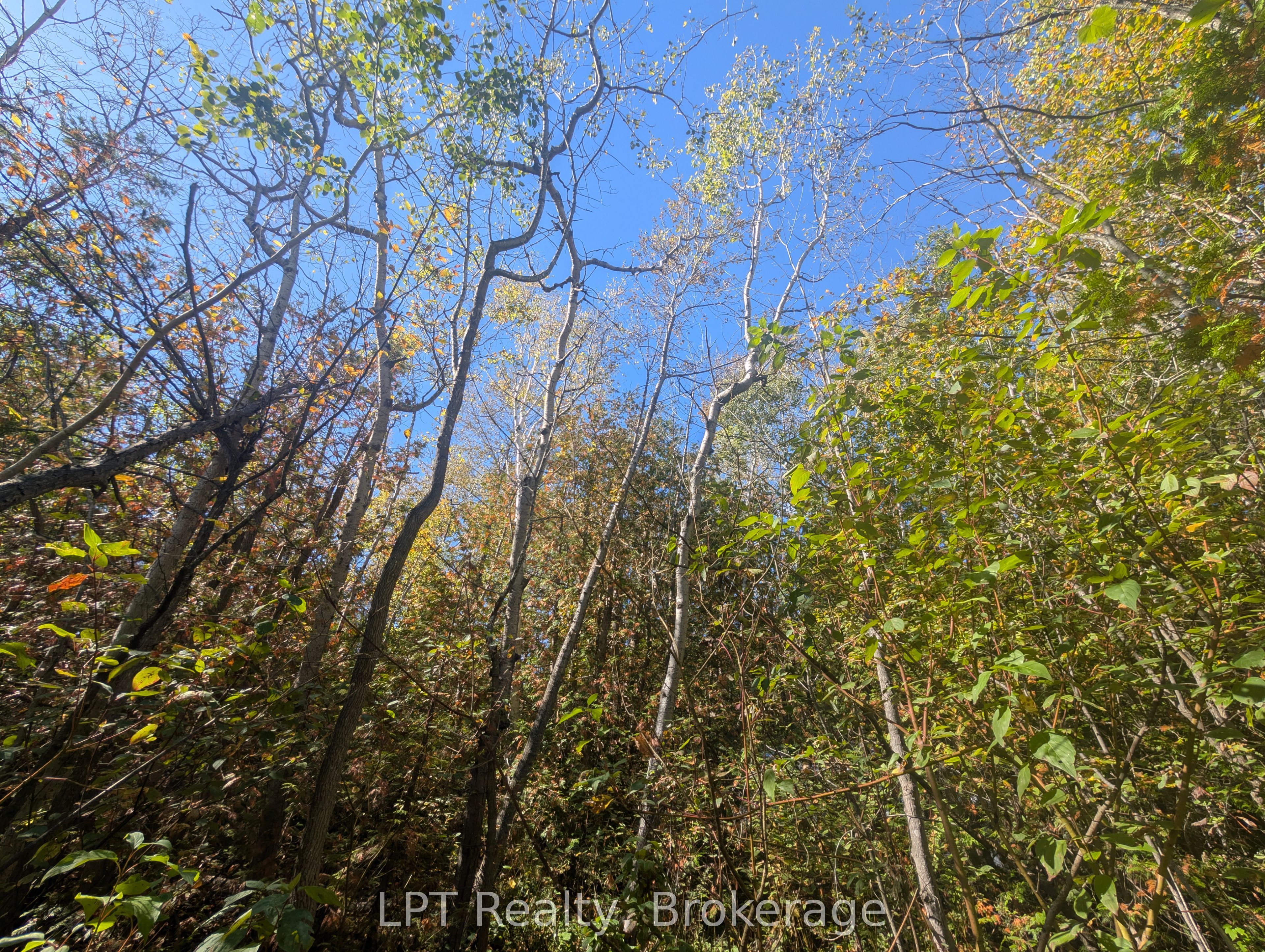 Lt 166 Mallory Beach Road Property Photo 12