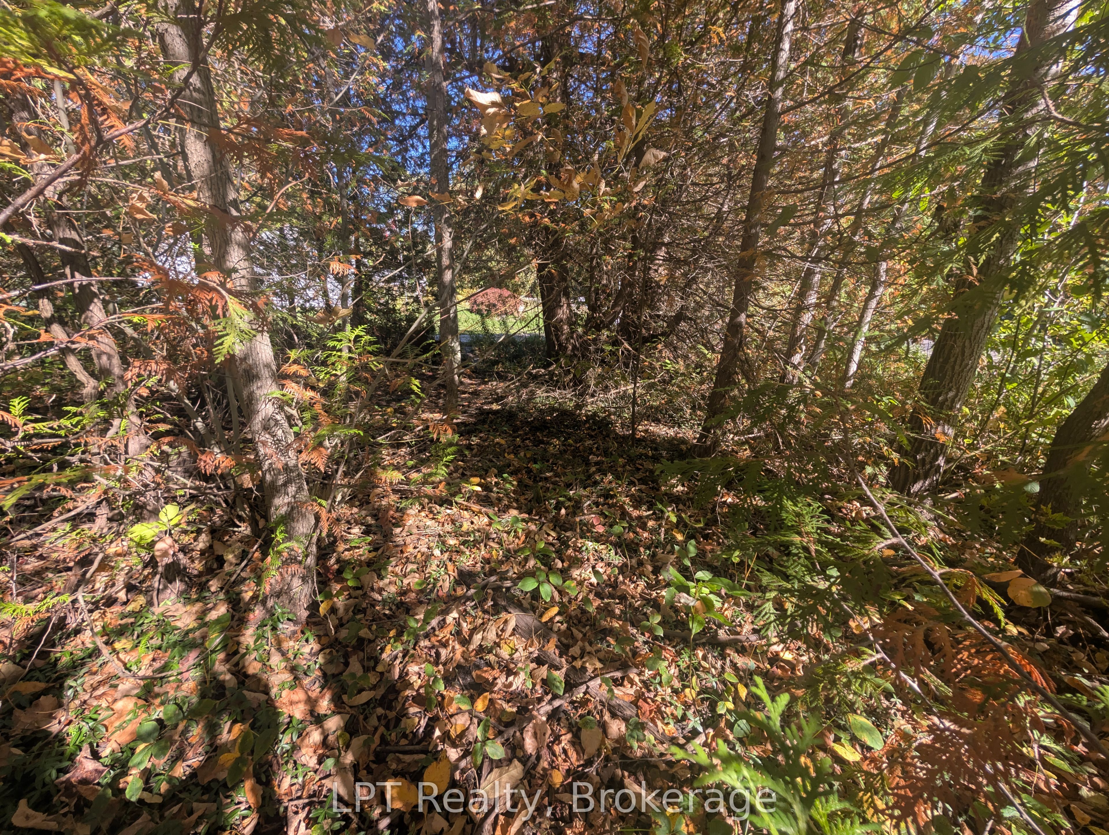 Lt 166 Mallory Beach Road Property Photo 13
