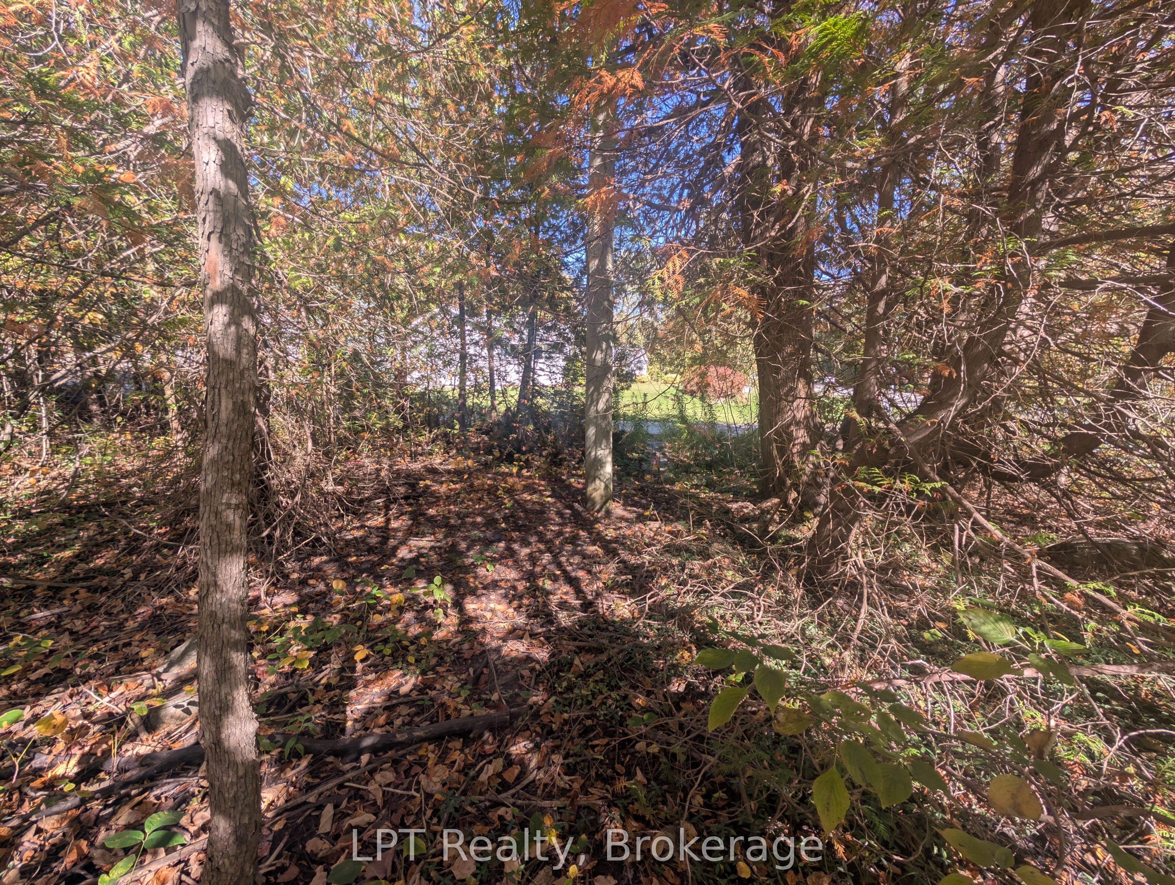 Lt 166 Mallory Beach Road Property Photo 14