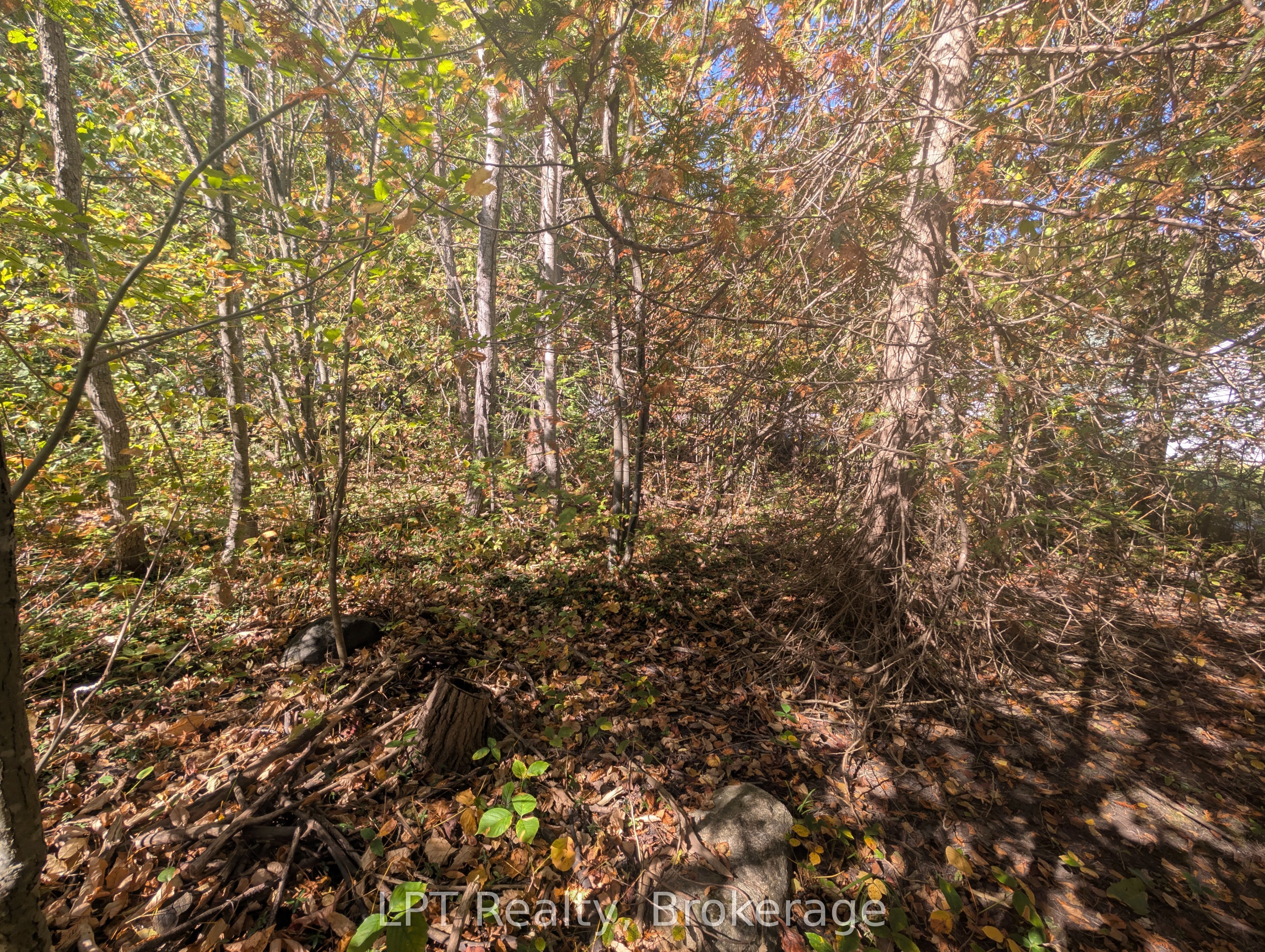 Lt 166 Mallory Beach Road Property Photo 15