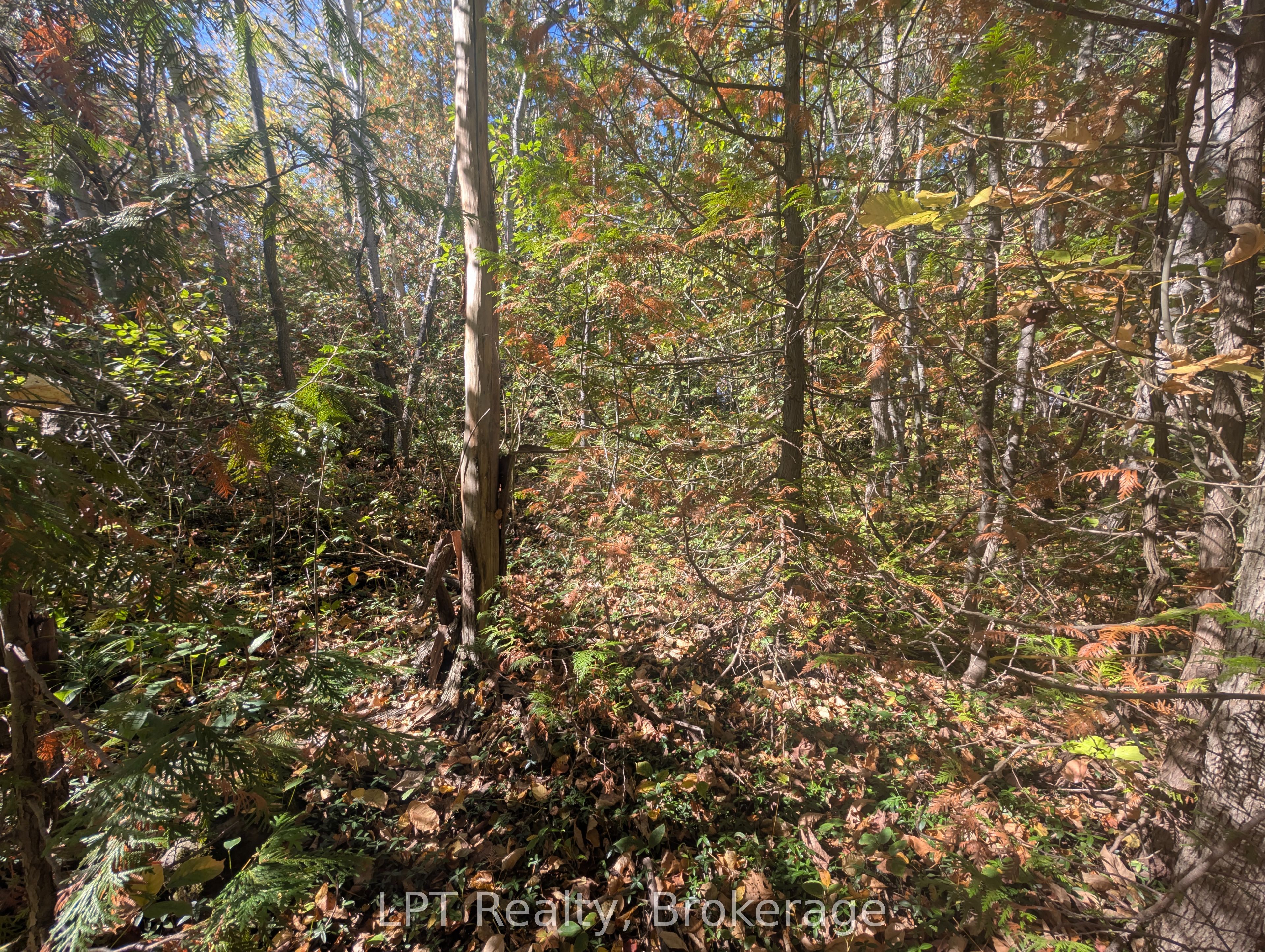 Lt 166 Mallory Beach Road Property Photo 19