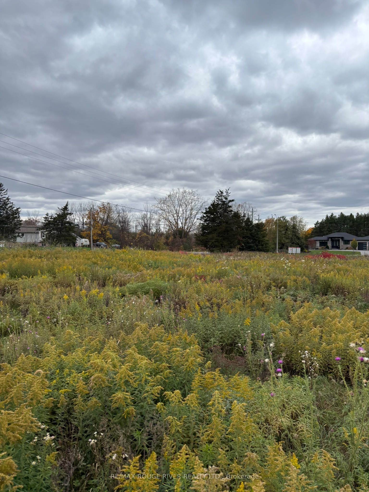 10 Leaside (lot 7) Street Property Photo 3
