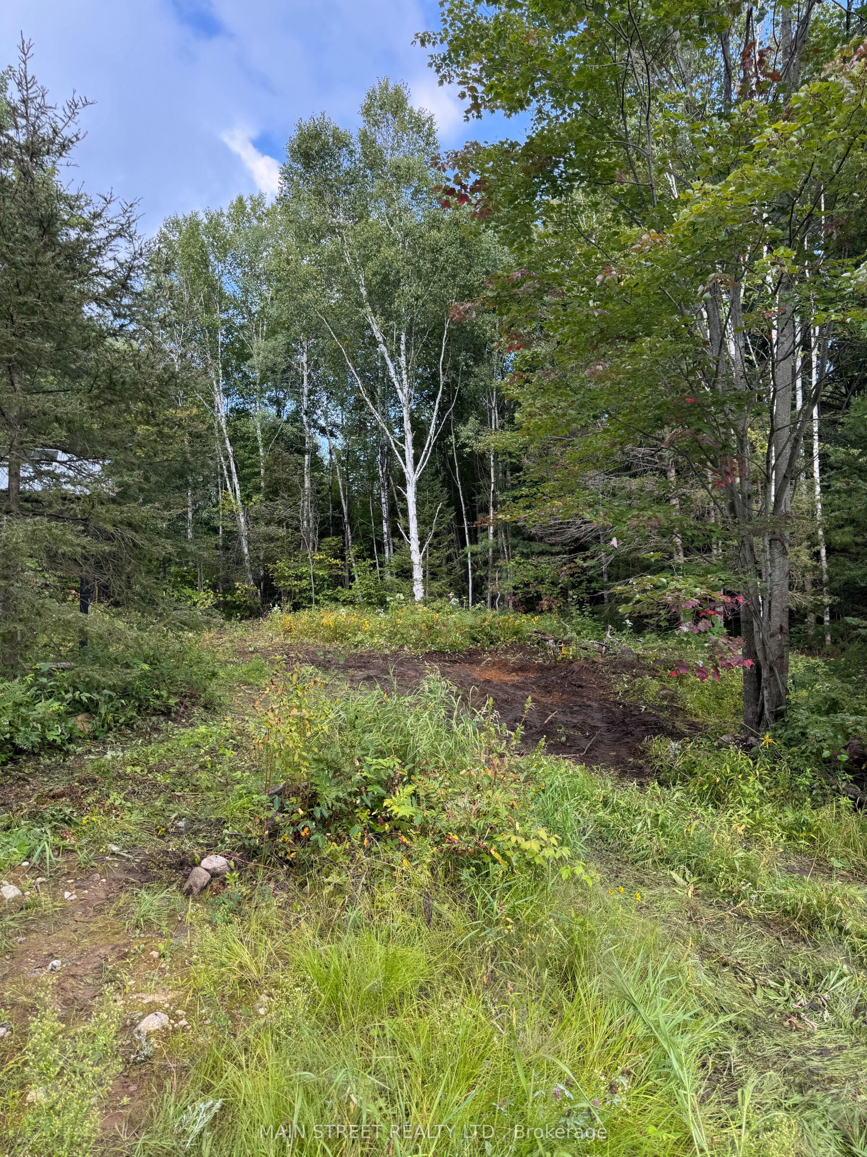 2591 Papineau Road Property Photo 8