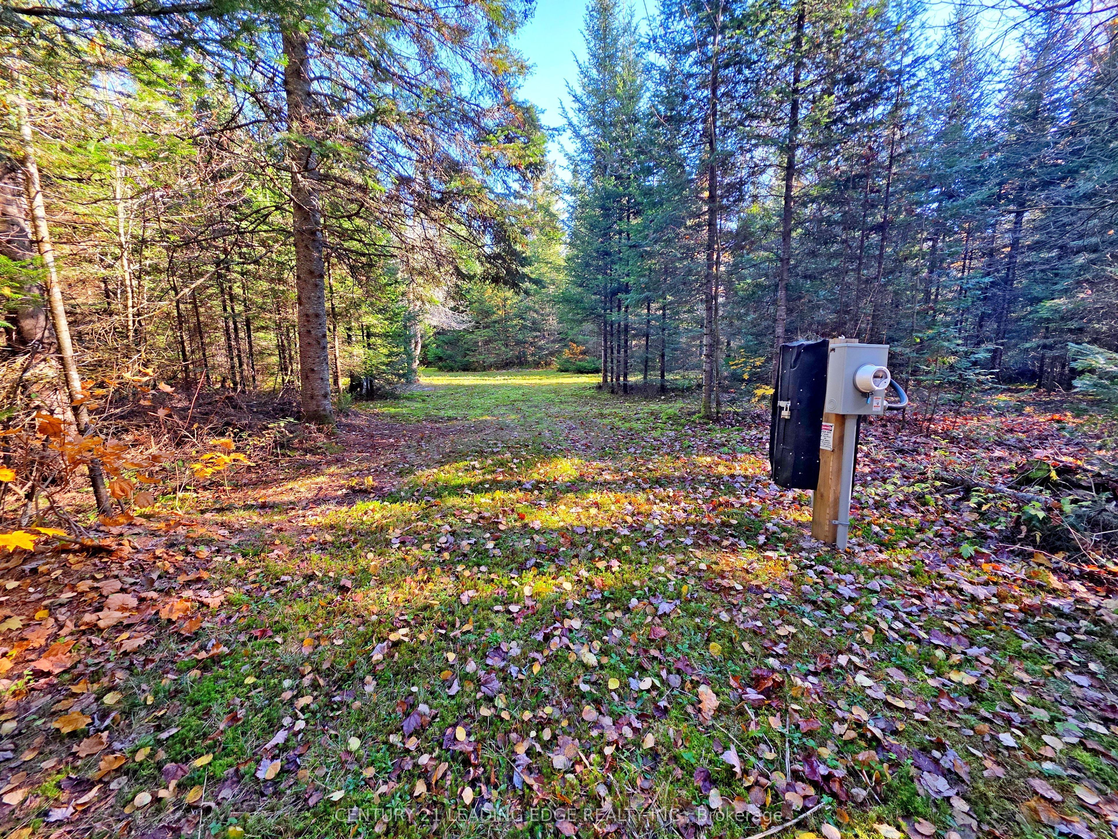 893 Yearley Road Property Photo 3